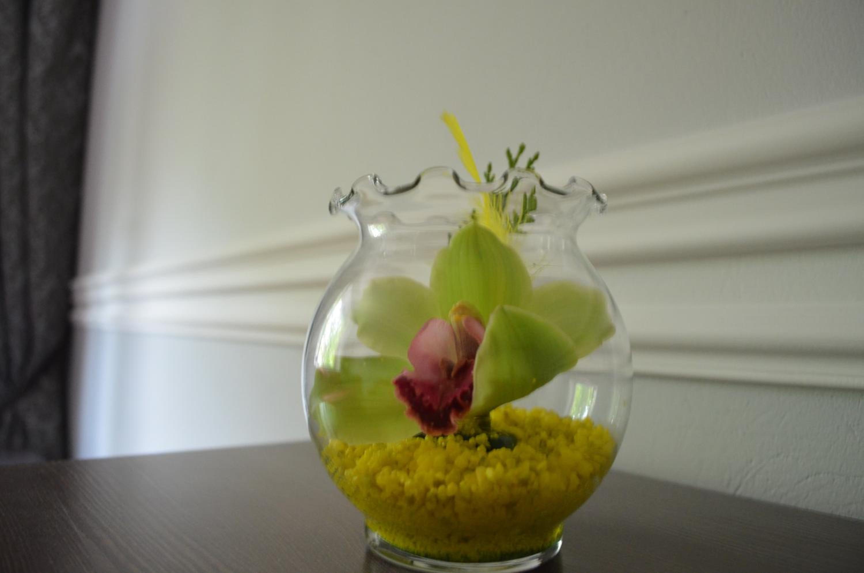 Photo 26