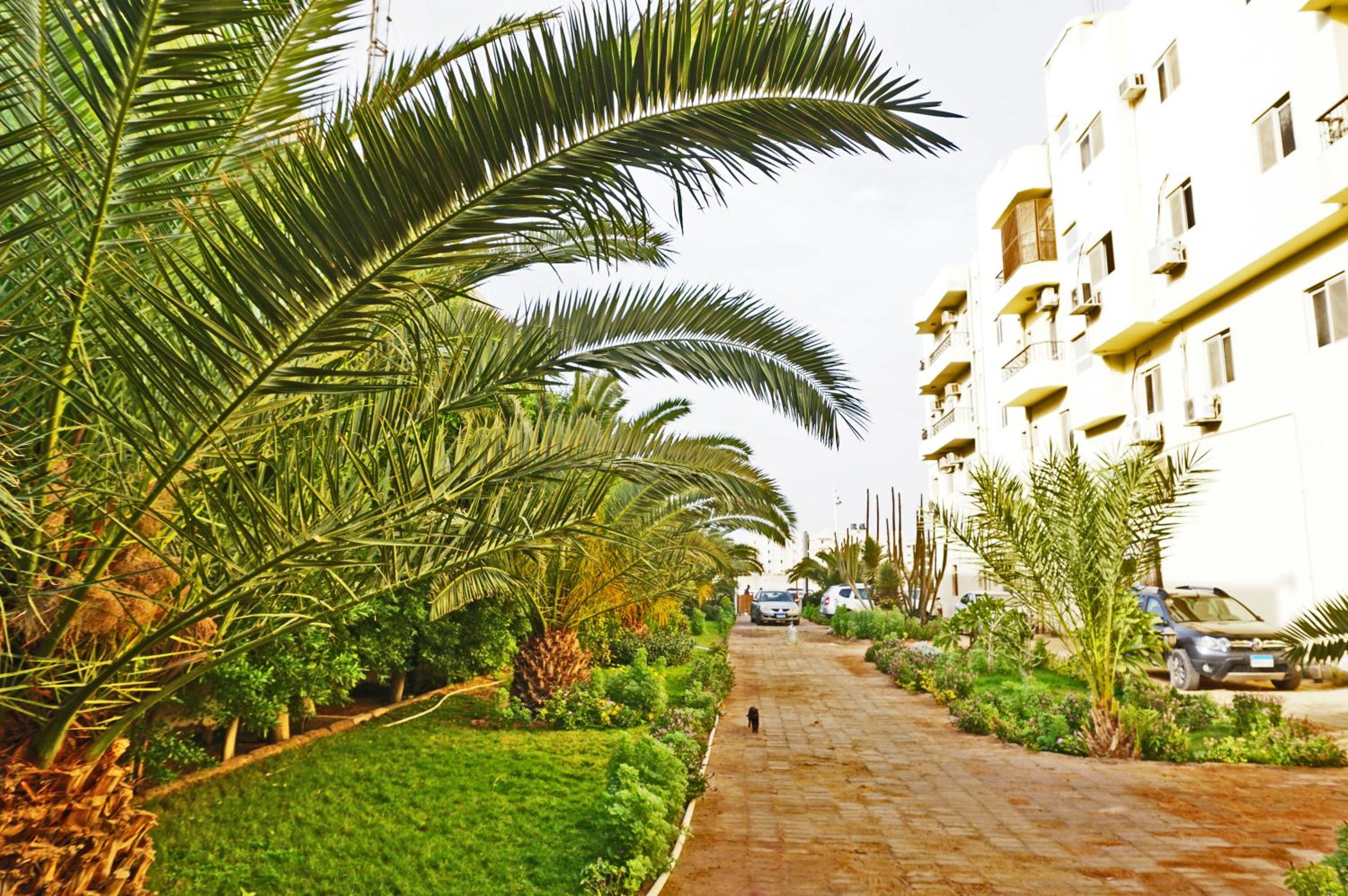 The Touristic Promenade Apartment