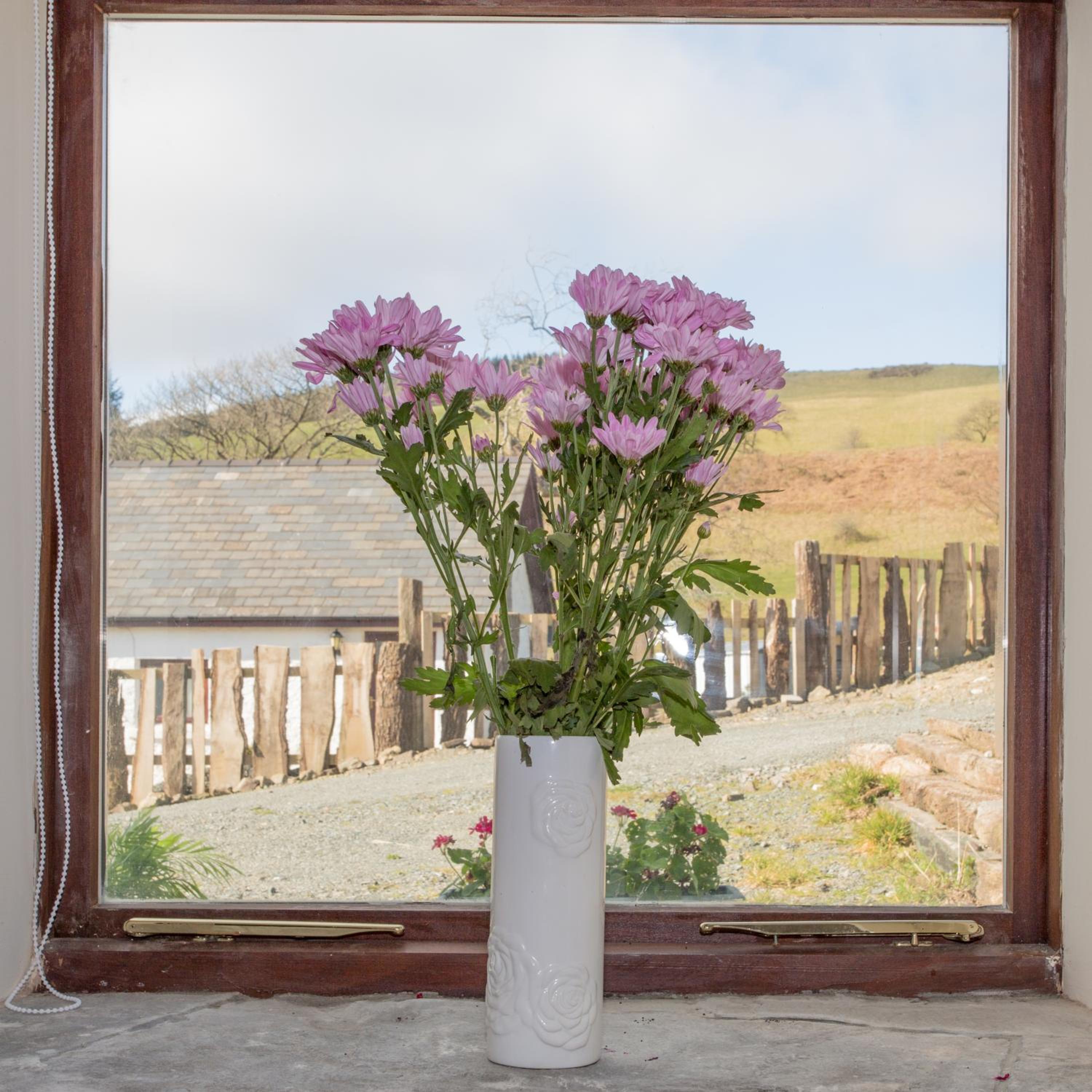 Merlin Cottages