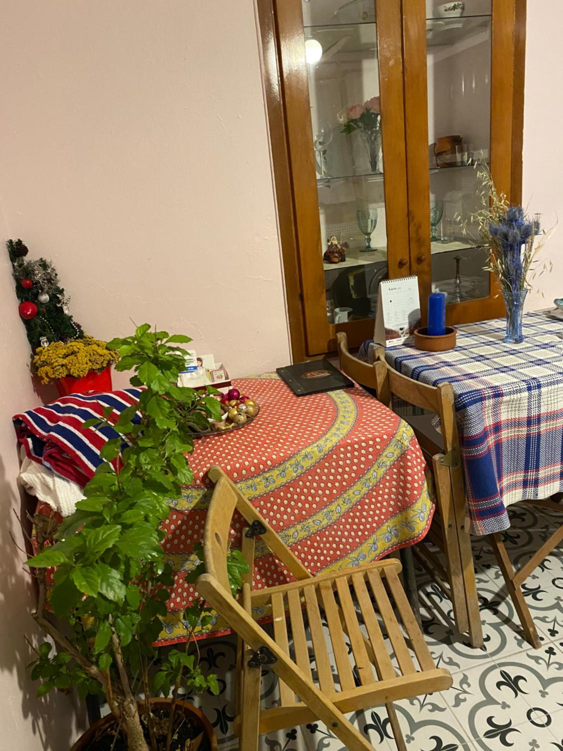 Mavi Ladin Konukevi view 3