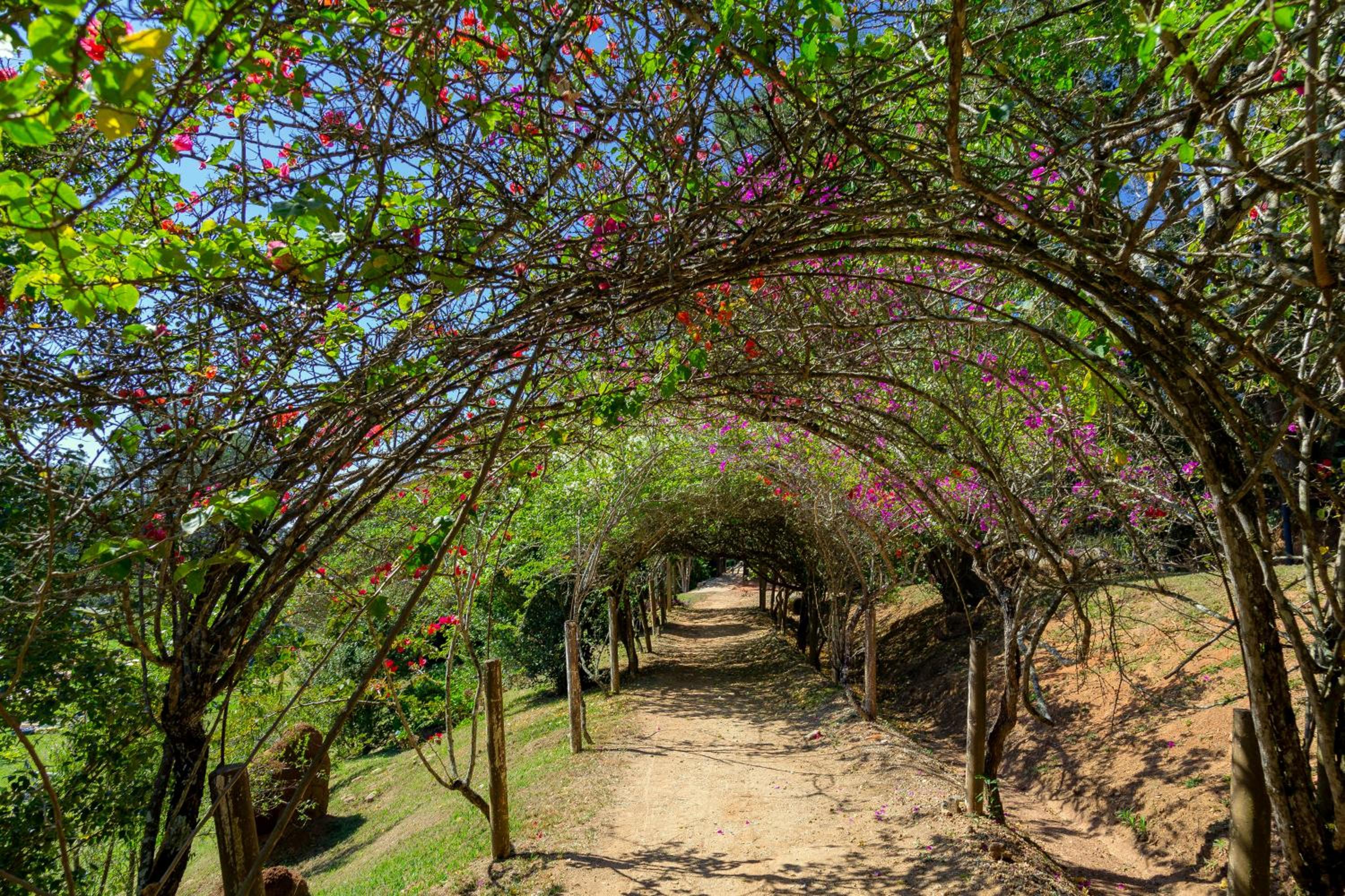 Chalé Praia de Minas