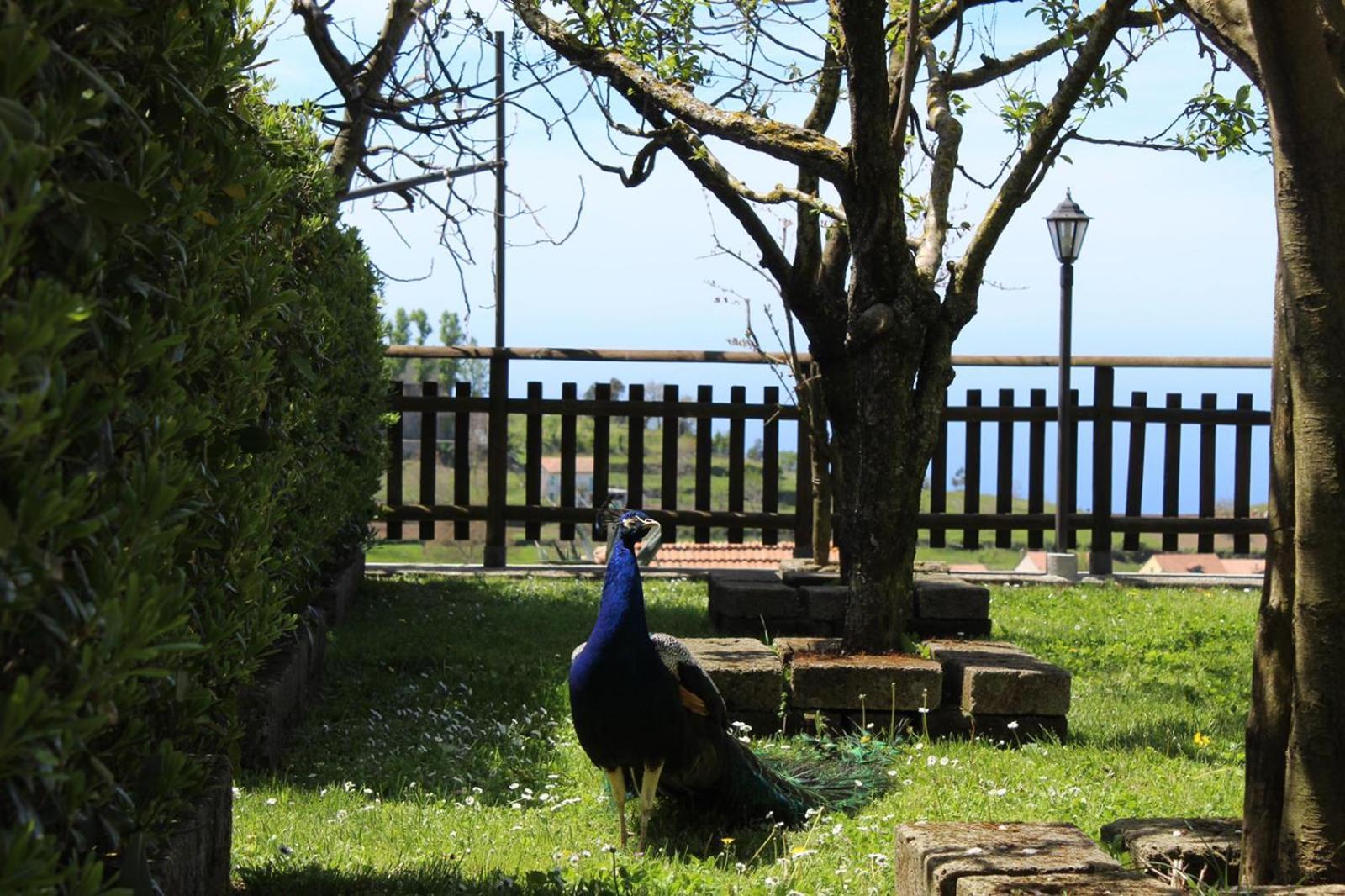 Agriturismo La Baita