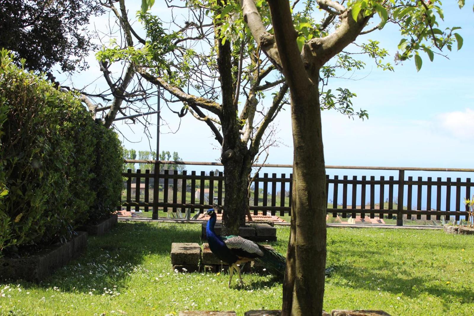 Agriturismo La Baita