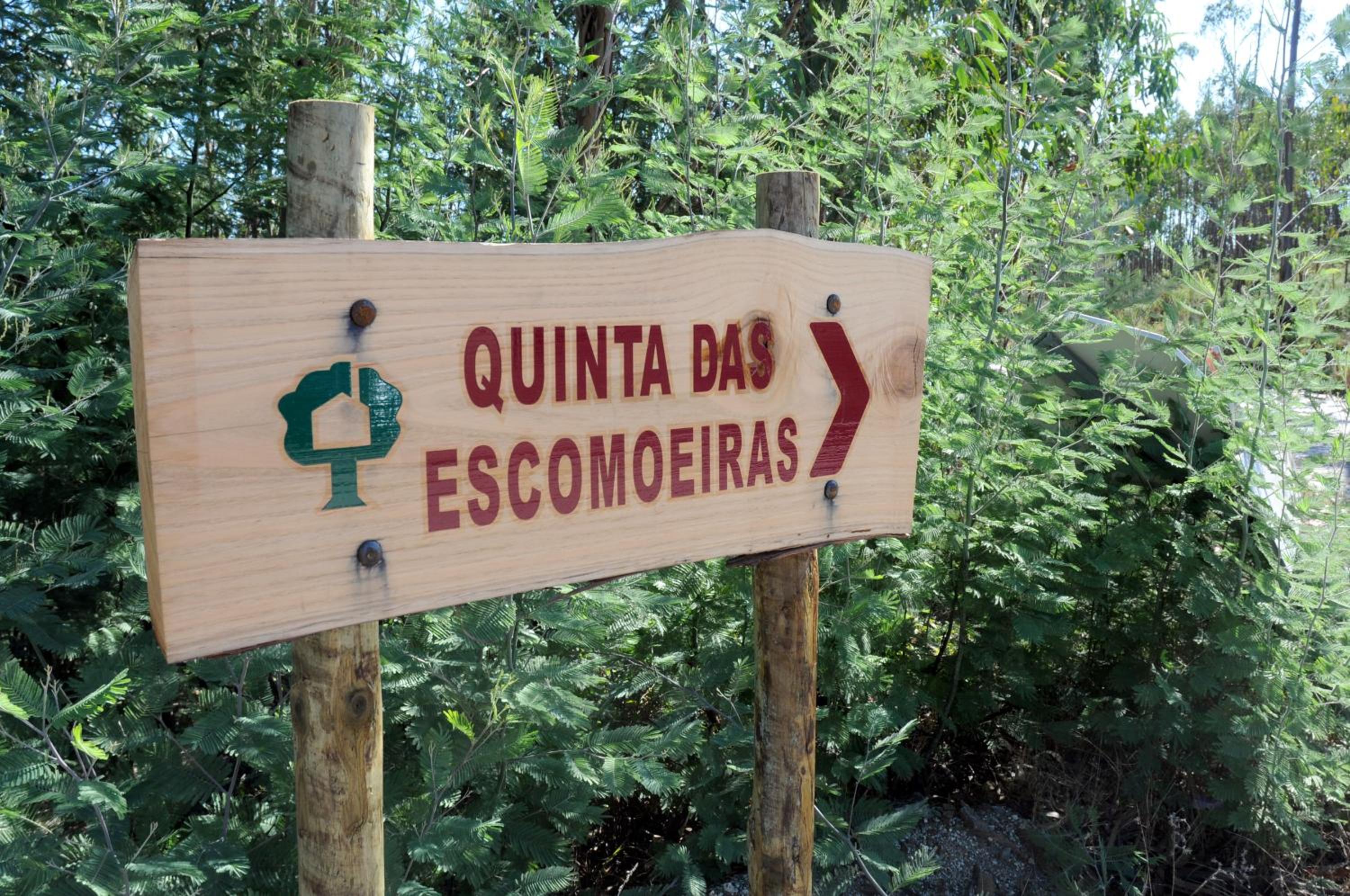 Quinta Das Escomoeiras