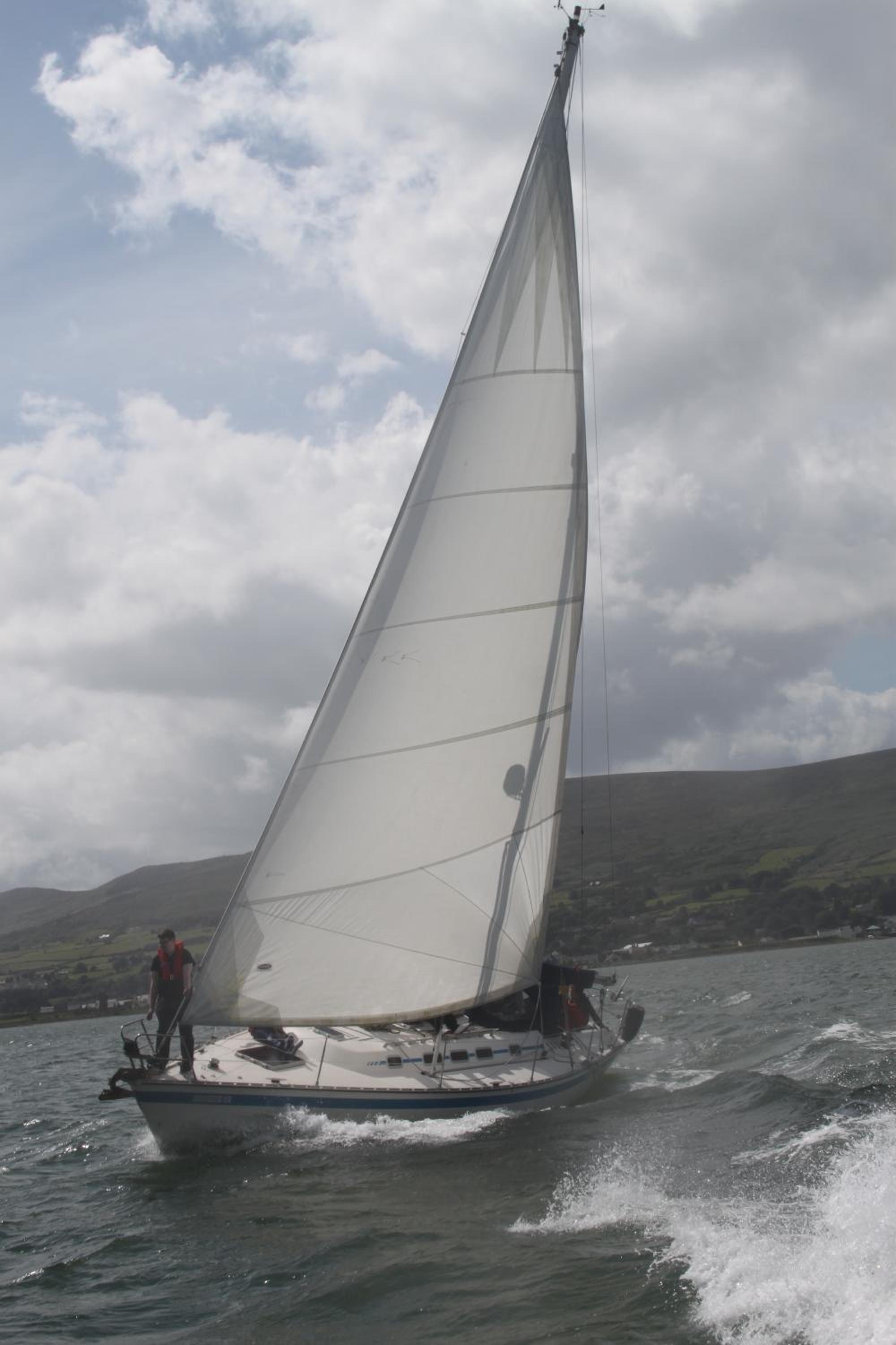 Photo 41