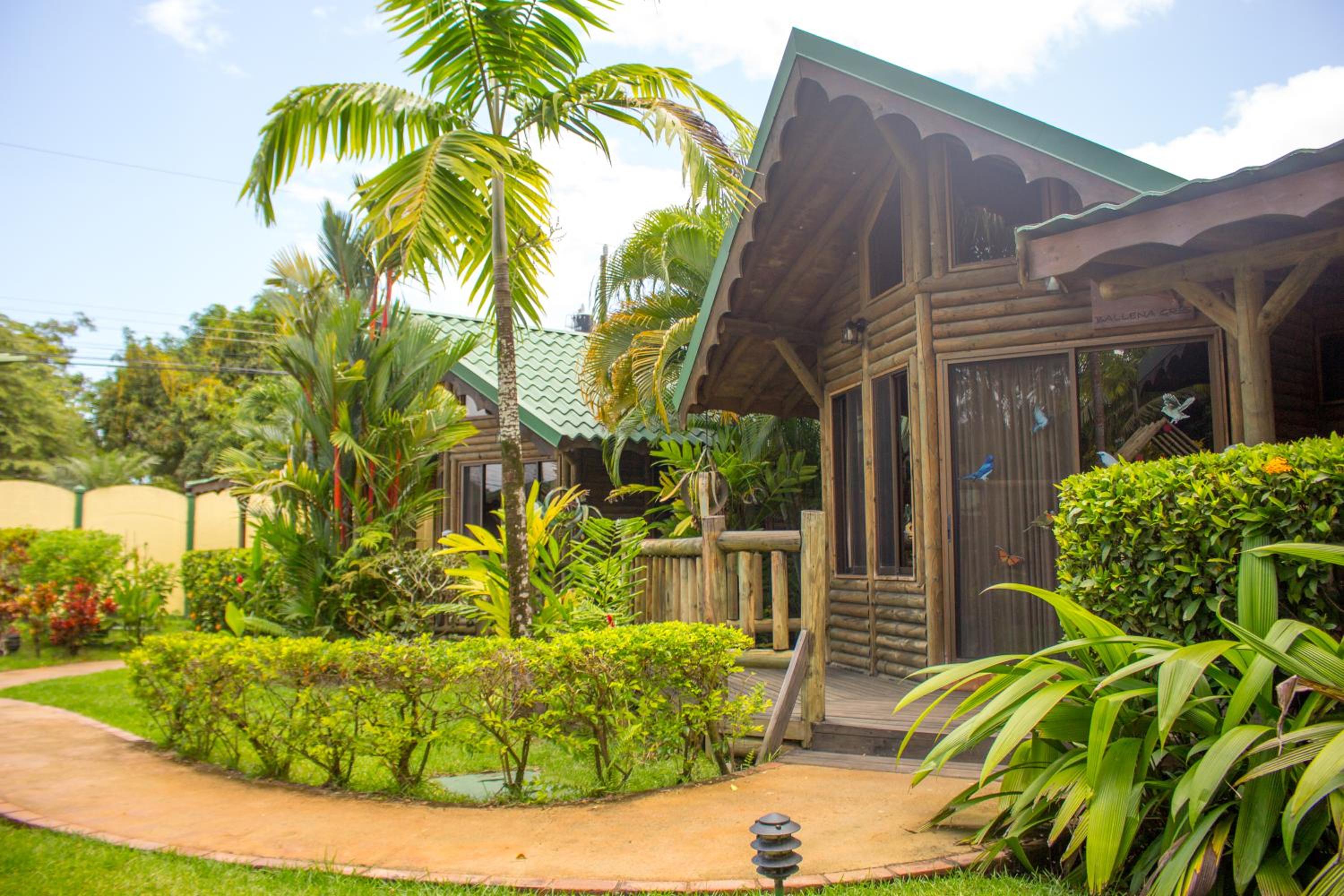 Photo 22