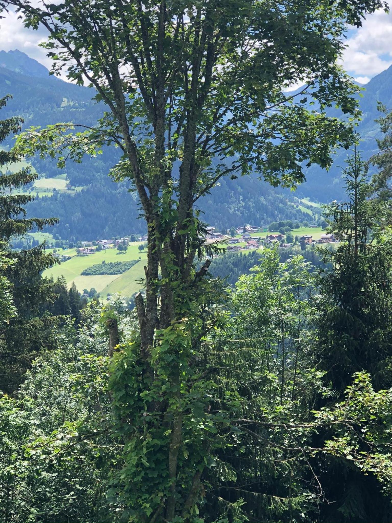 Deluxe Alpenkrone Schladming