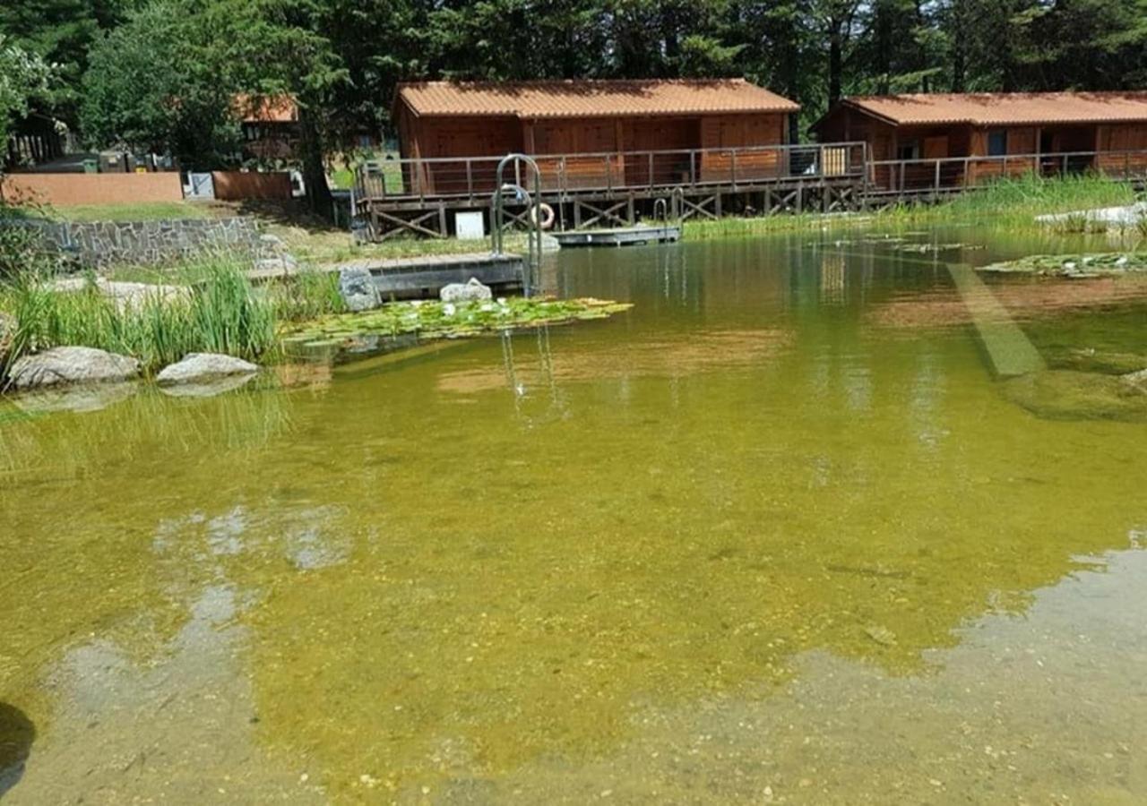 Parque Biologico de Vinhais view 3