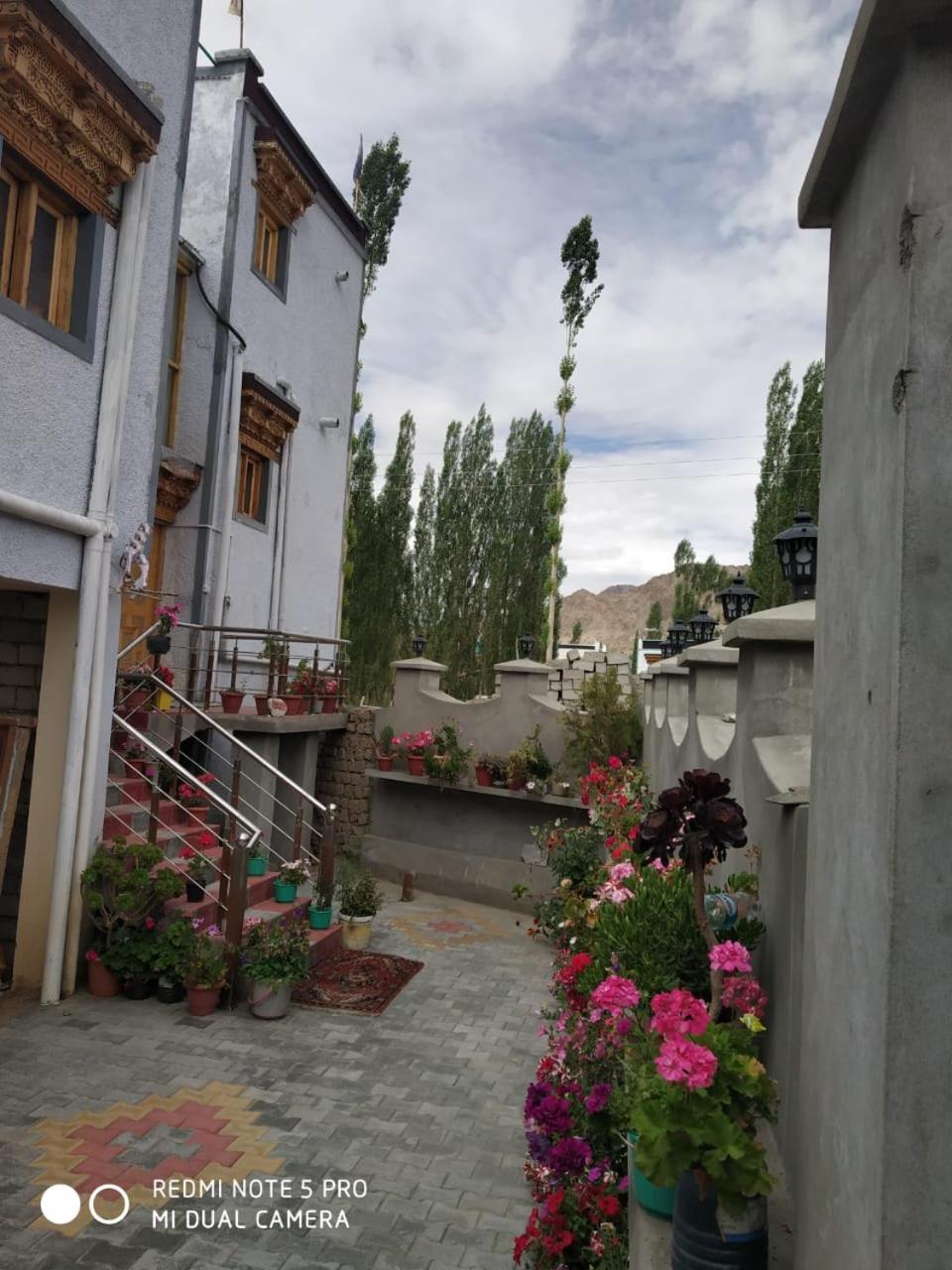 Photo 42