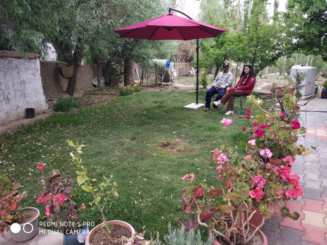 Photo 44