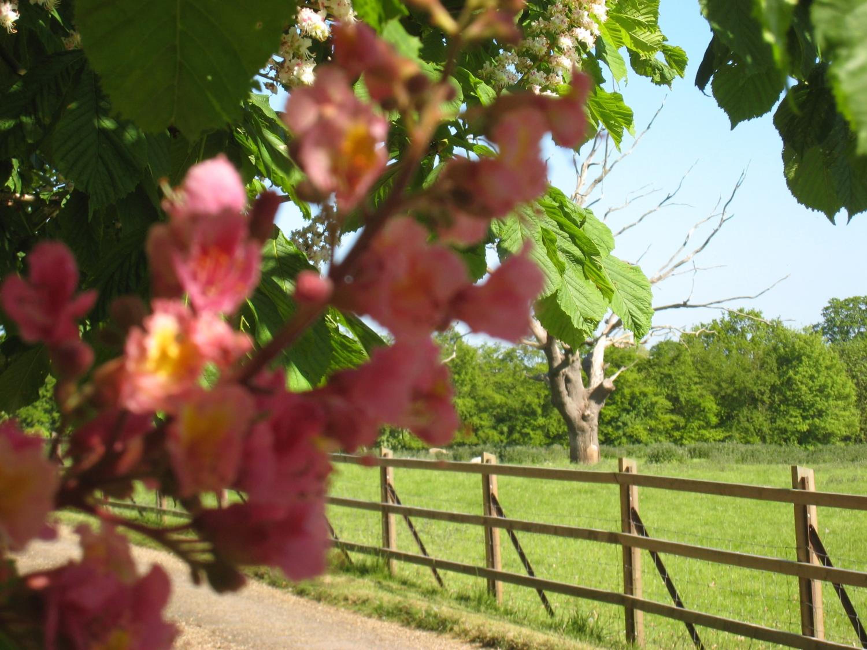 Colston Hall Farmhouse B&B