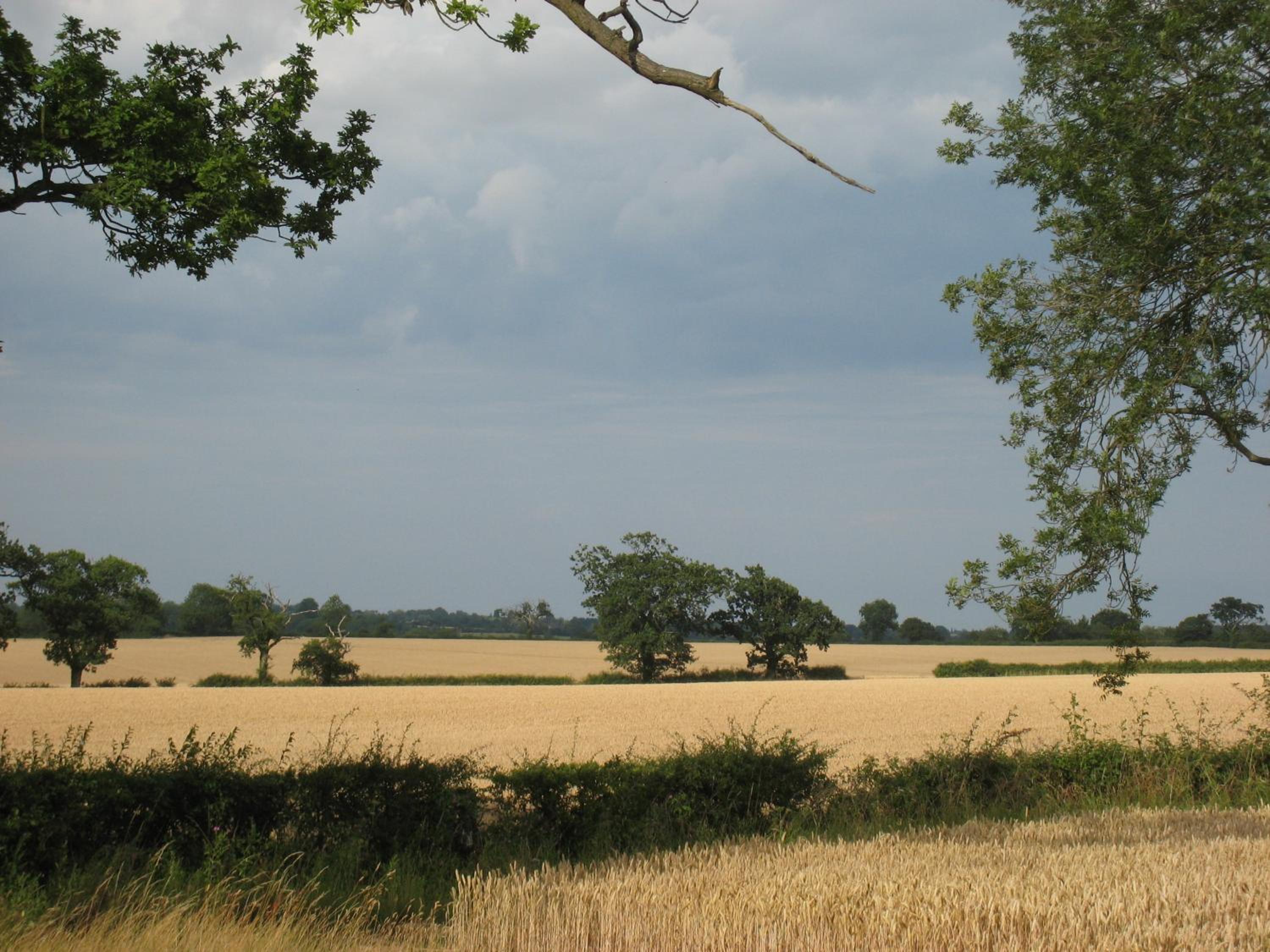 Colston Hall Farmhouse B&B