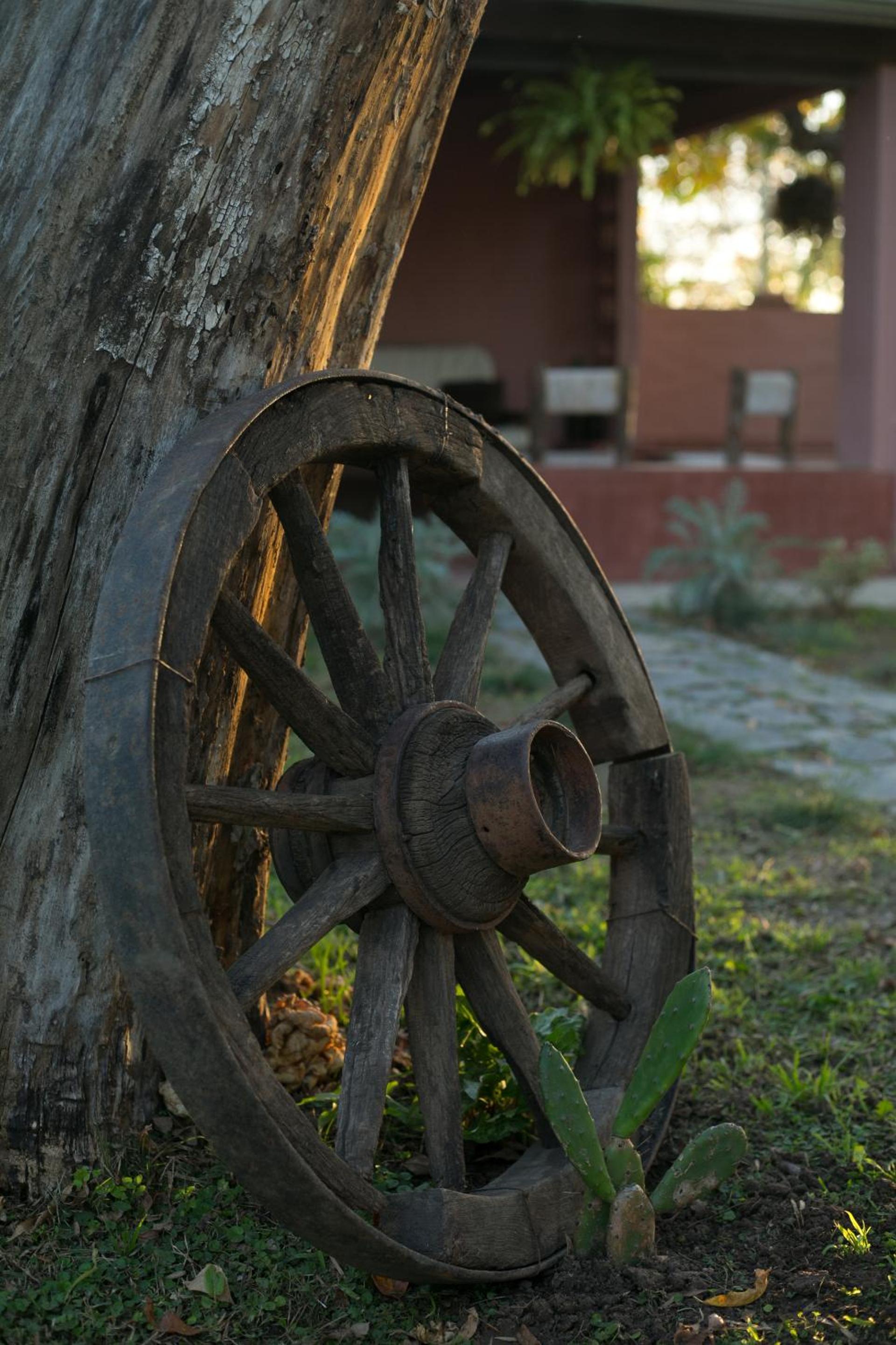 Posada Don Salvador