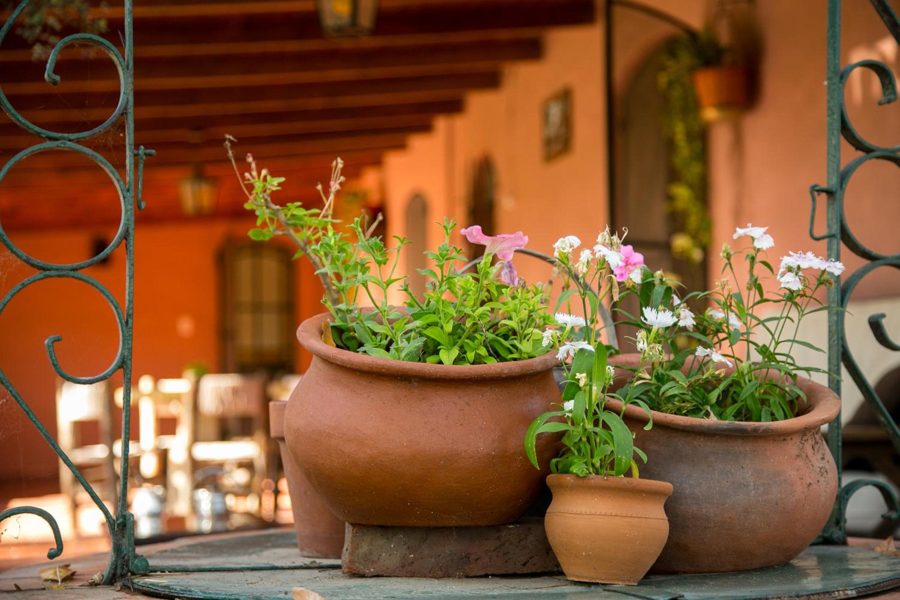 Posada Don Salvador