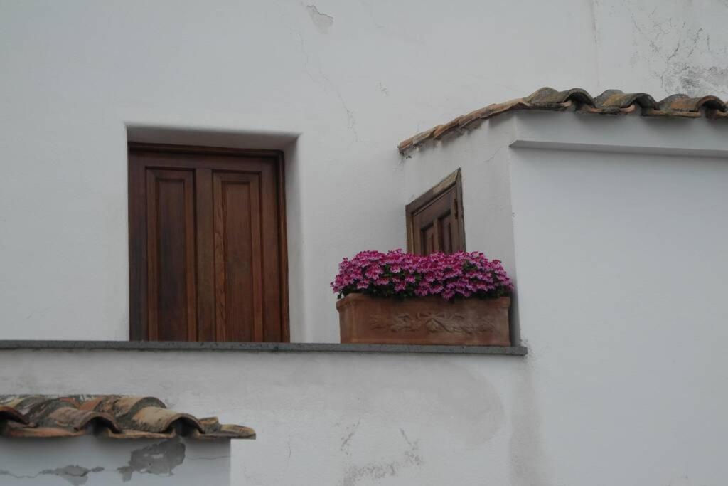 East wind house photo 5