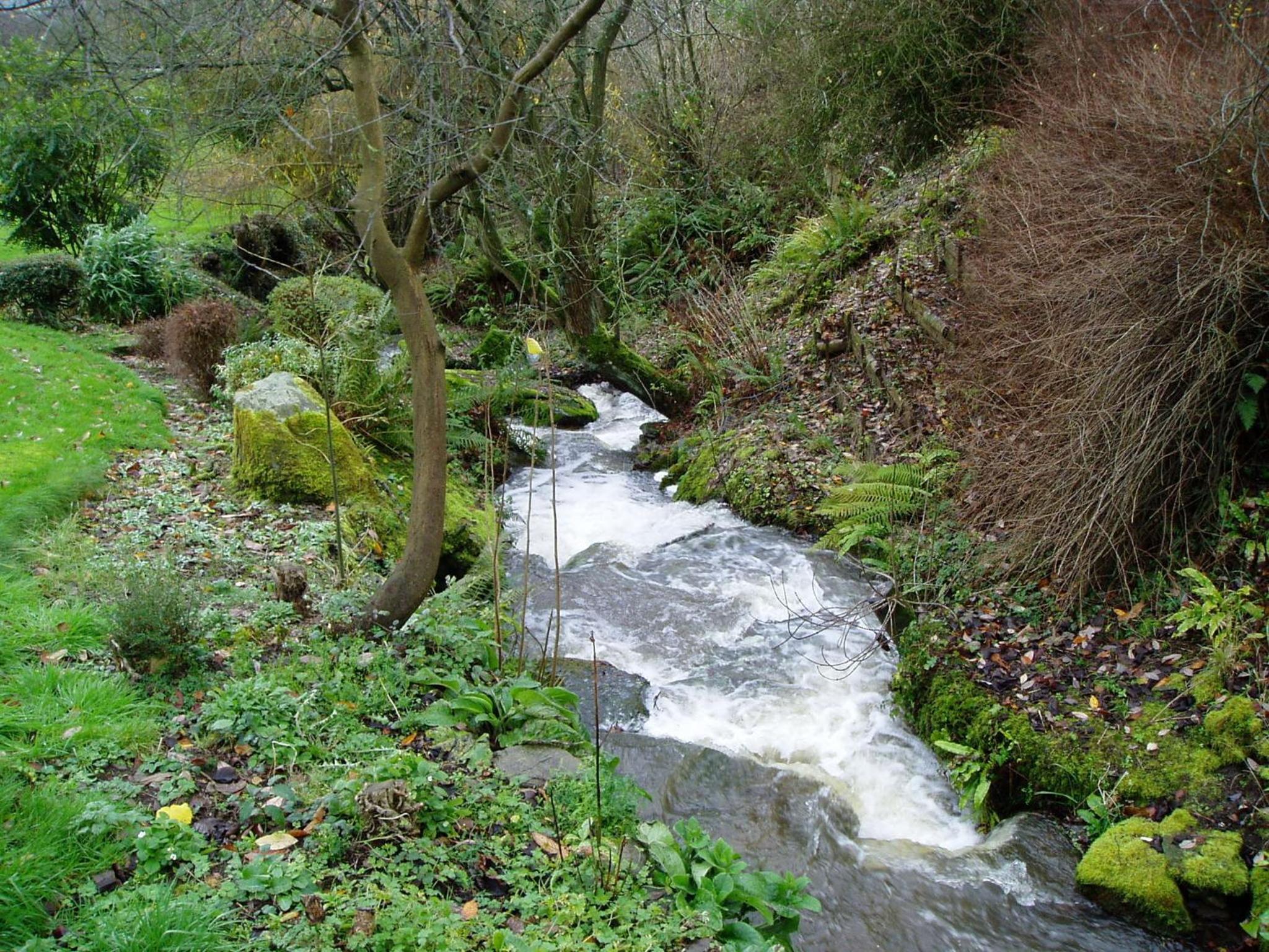 Photo 46
