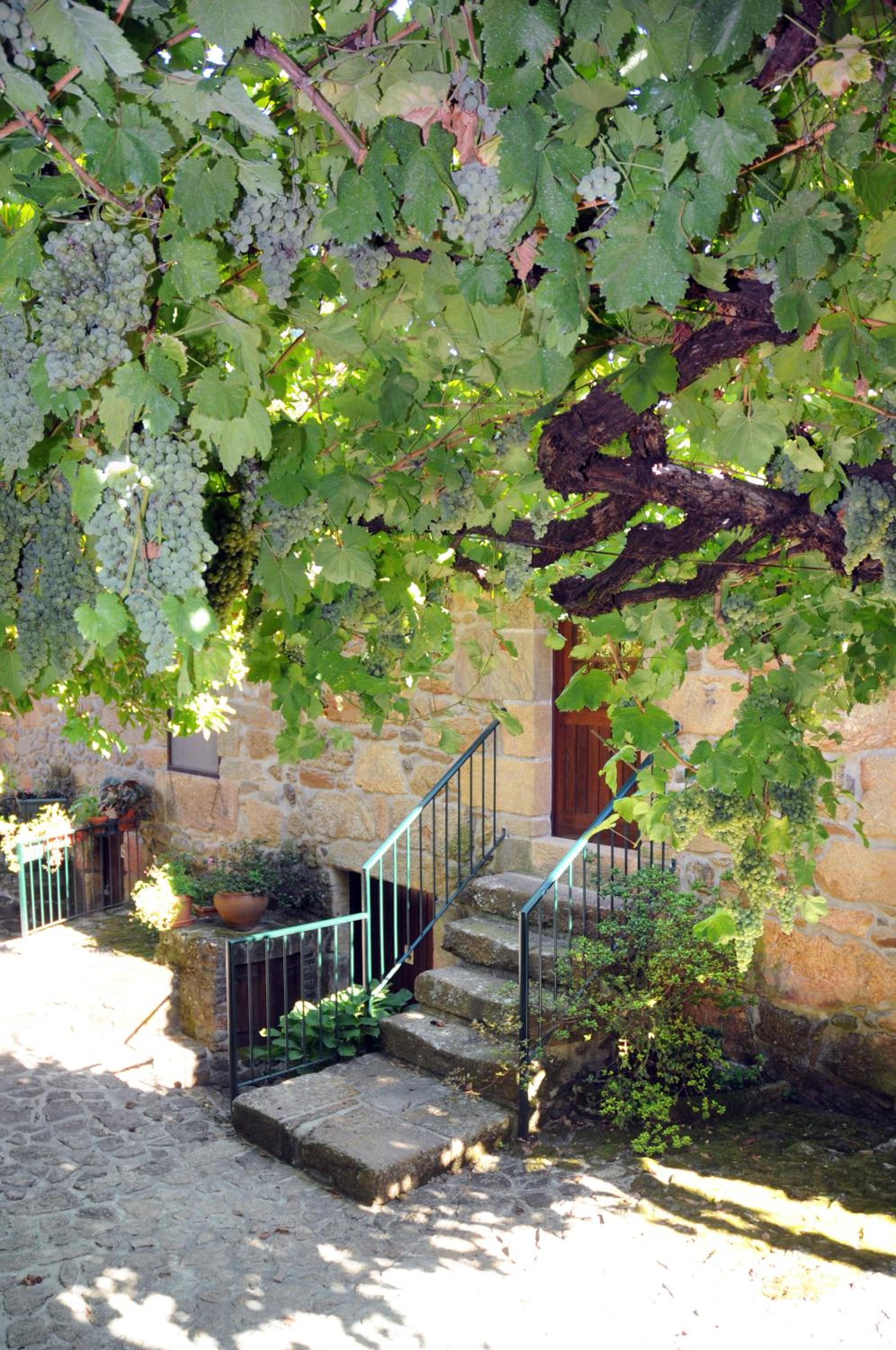 Quinta Das Escomoeiras