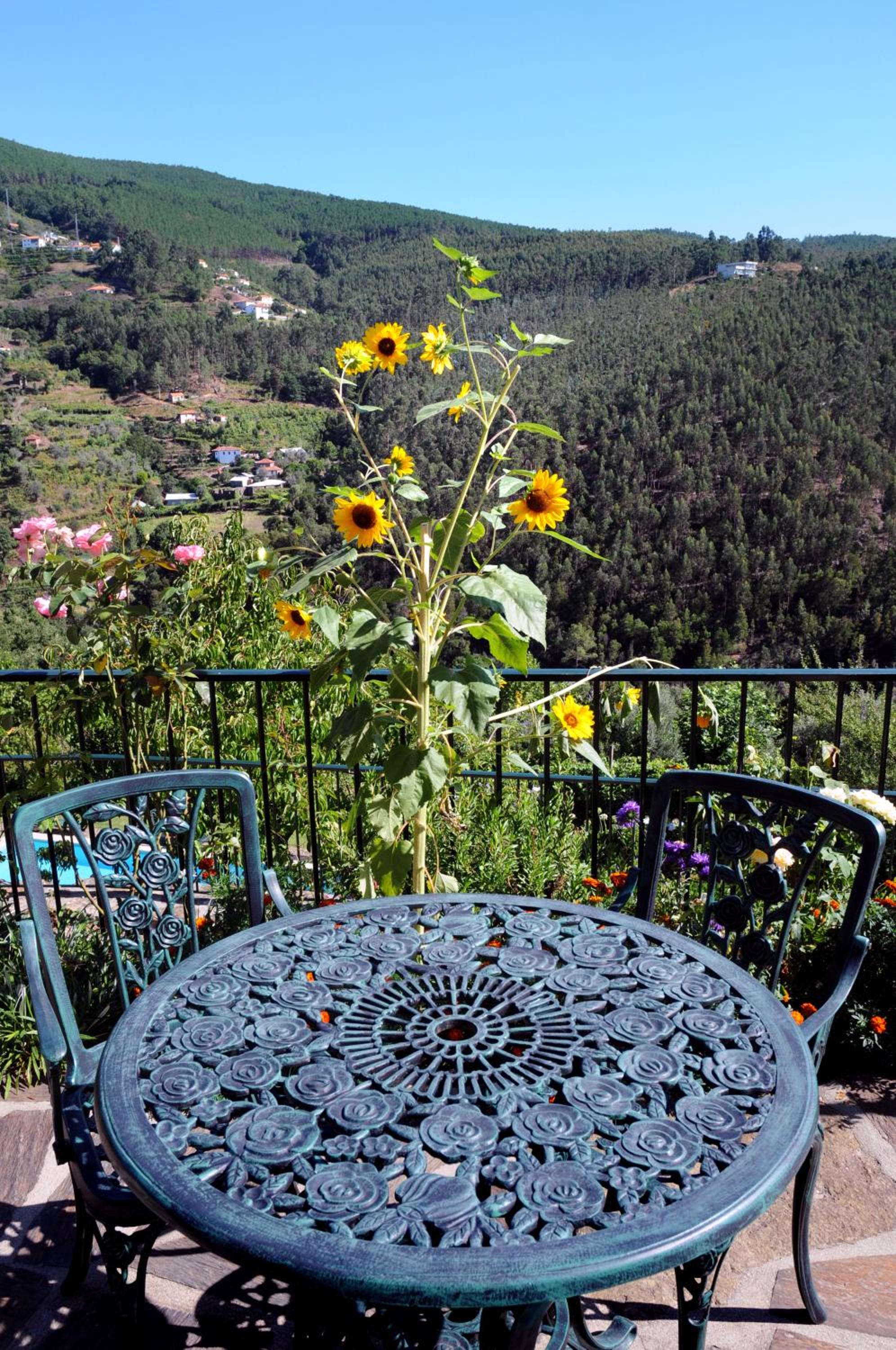 Quinta Das Escomoeiras