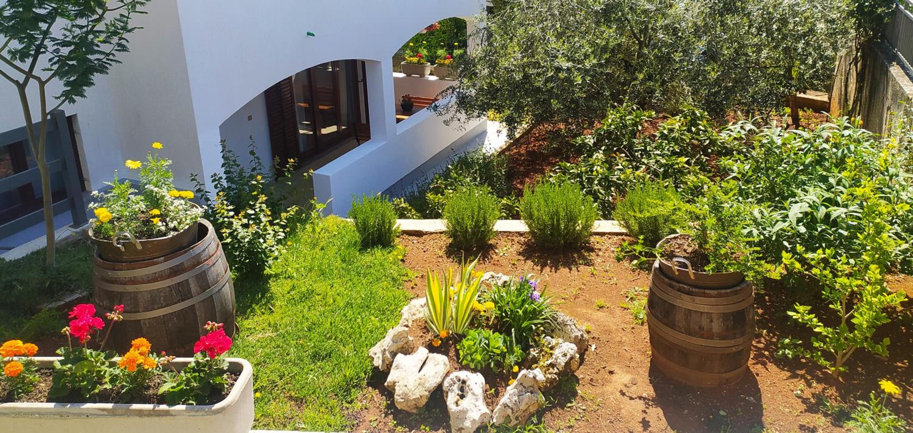 Apartament Oliva view 3