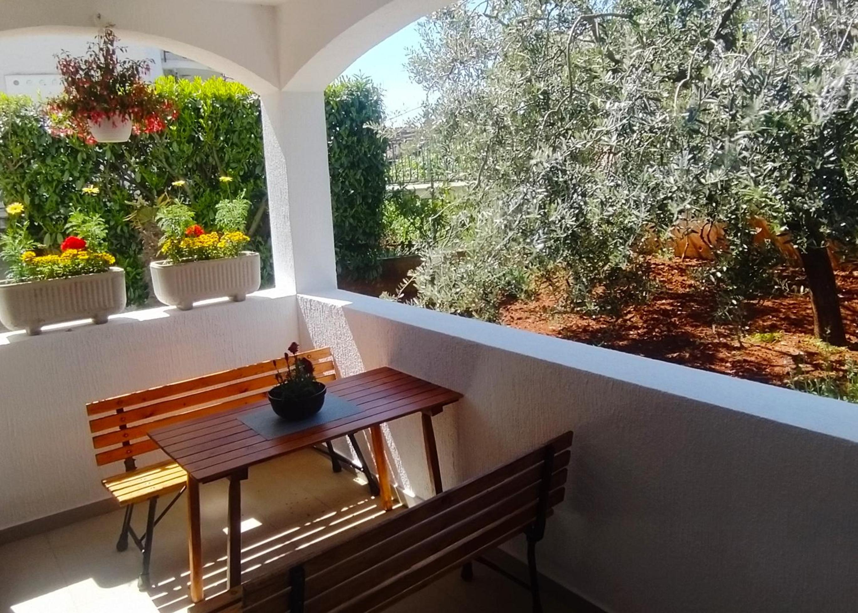 Apartament Oliva view 4