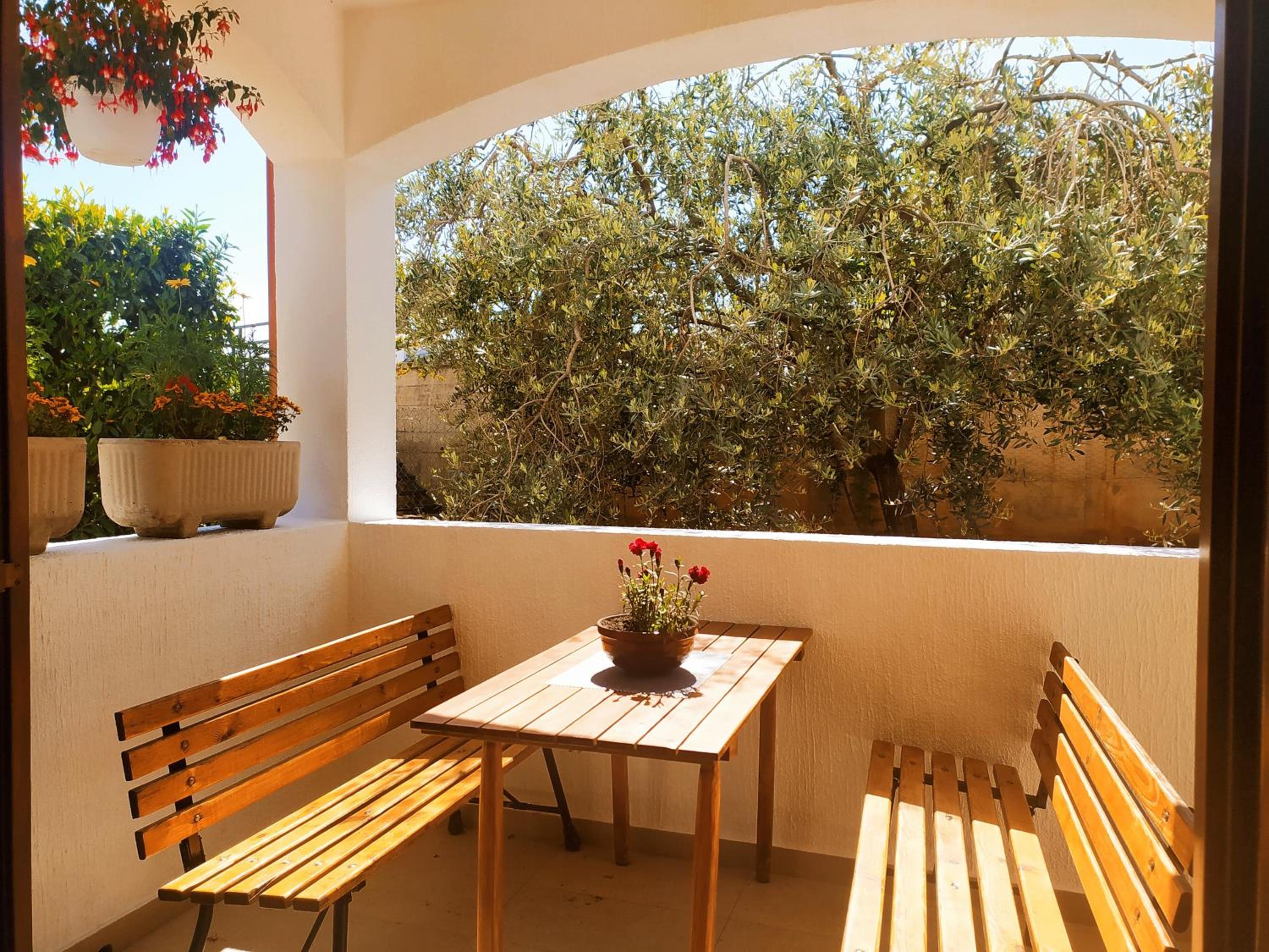 Apartament Oliva view 2