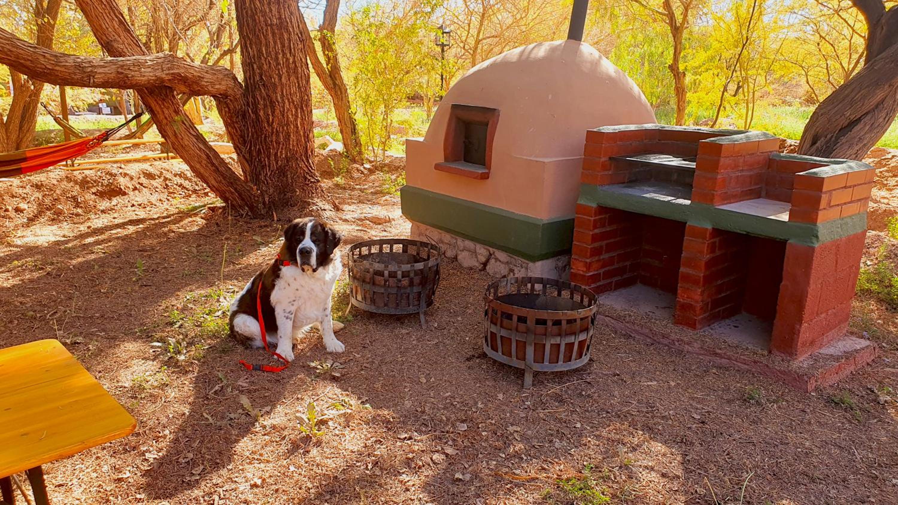 Lodge Ancar Atacama