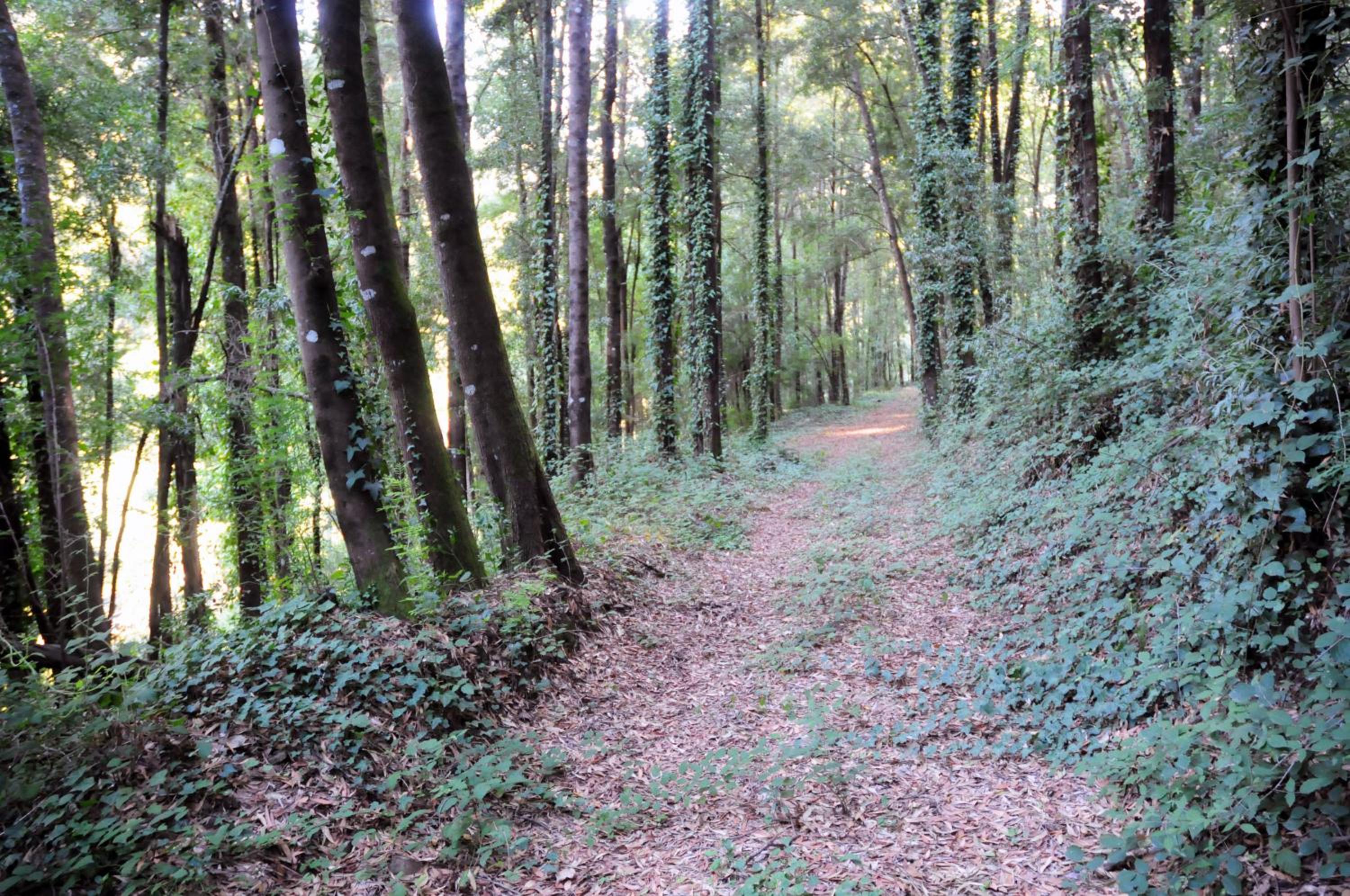 Quinta Das Escomoeiras