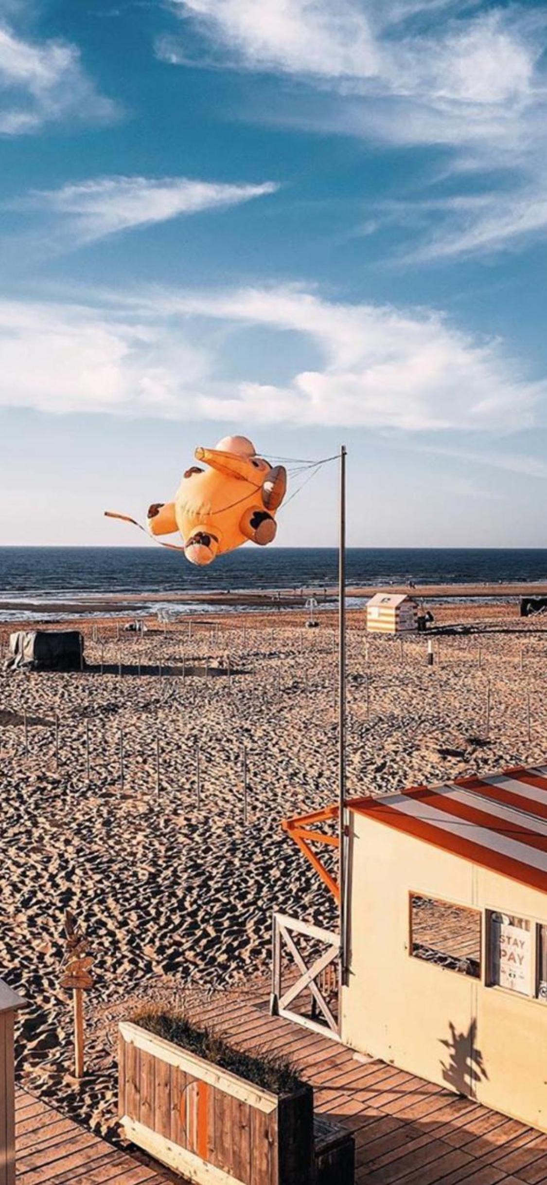 DOS22 Vakantiewoning I De Haan Wenduine