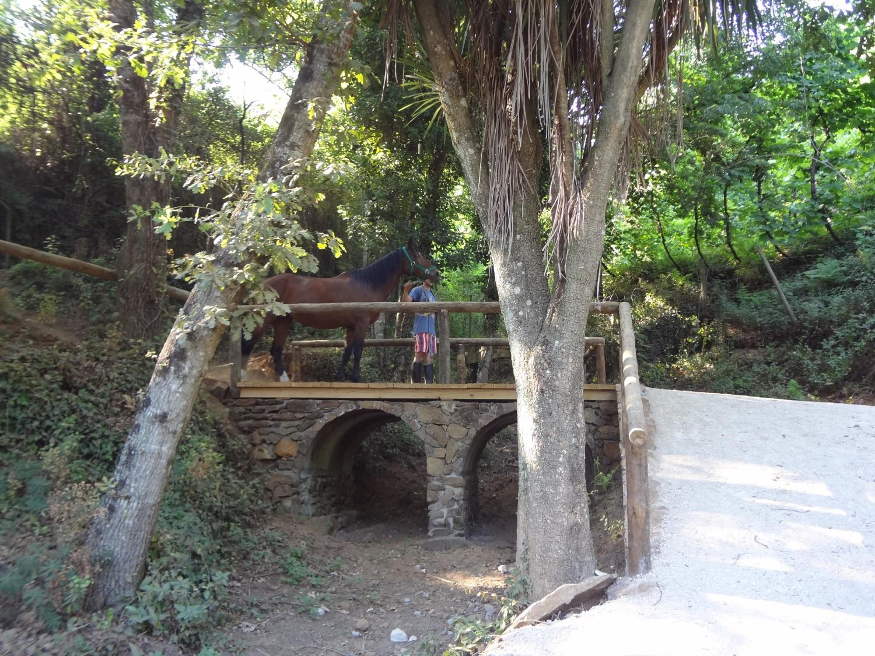 Quinta Das Escomoeiras