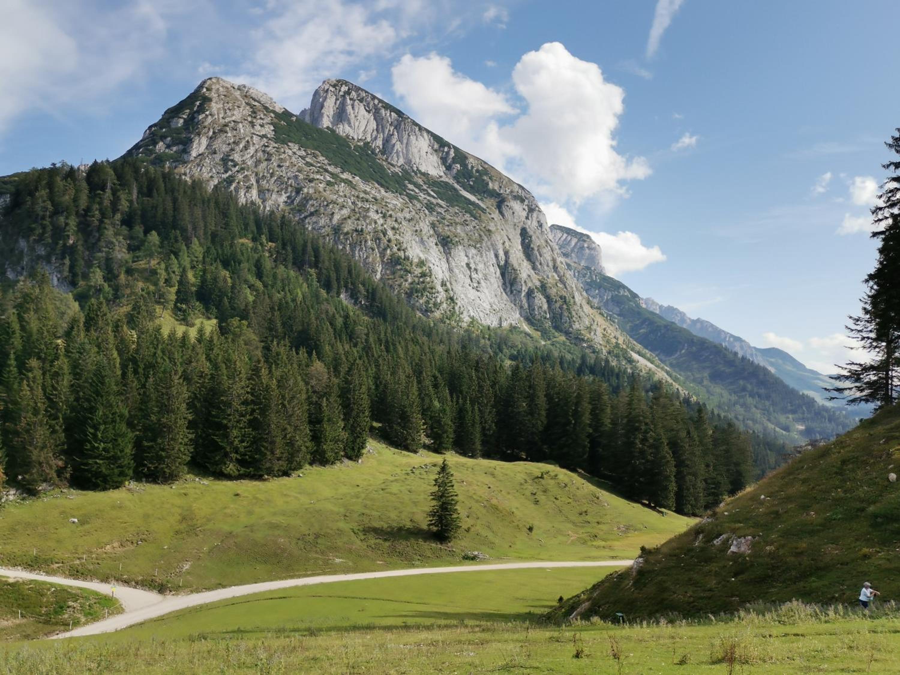 Landhaus Schwaighofer Dachstein West