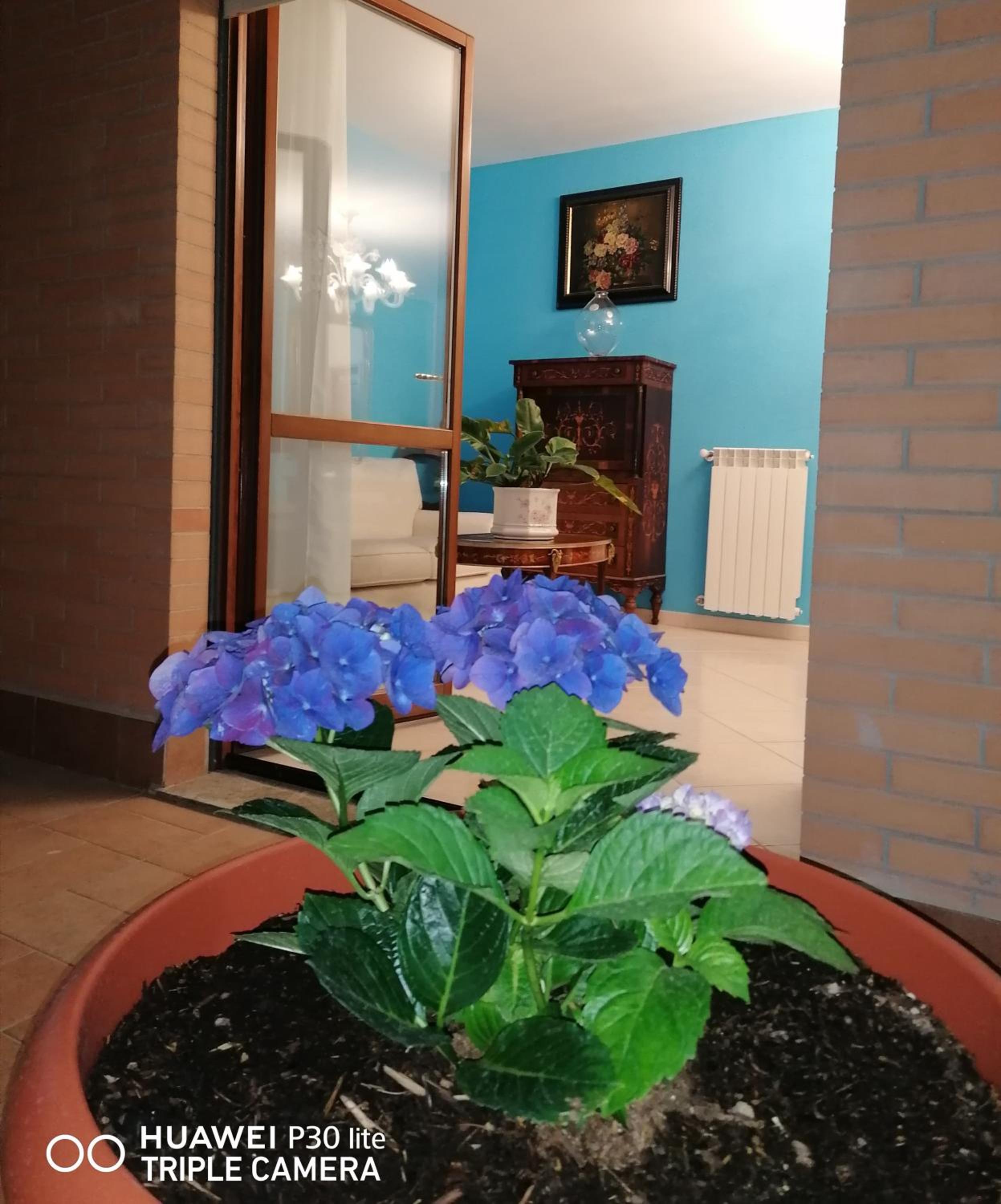 Photo 42