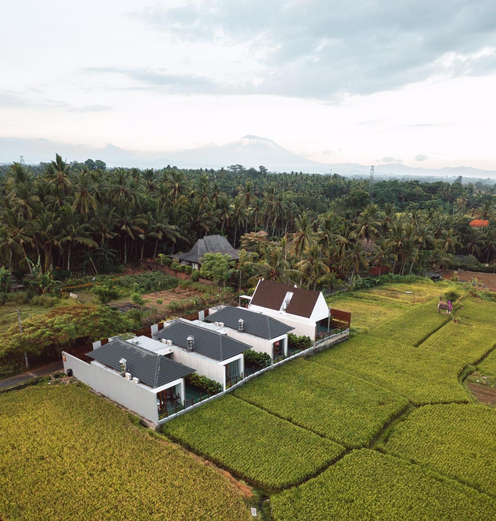 Villa Omkara Ubud view 2