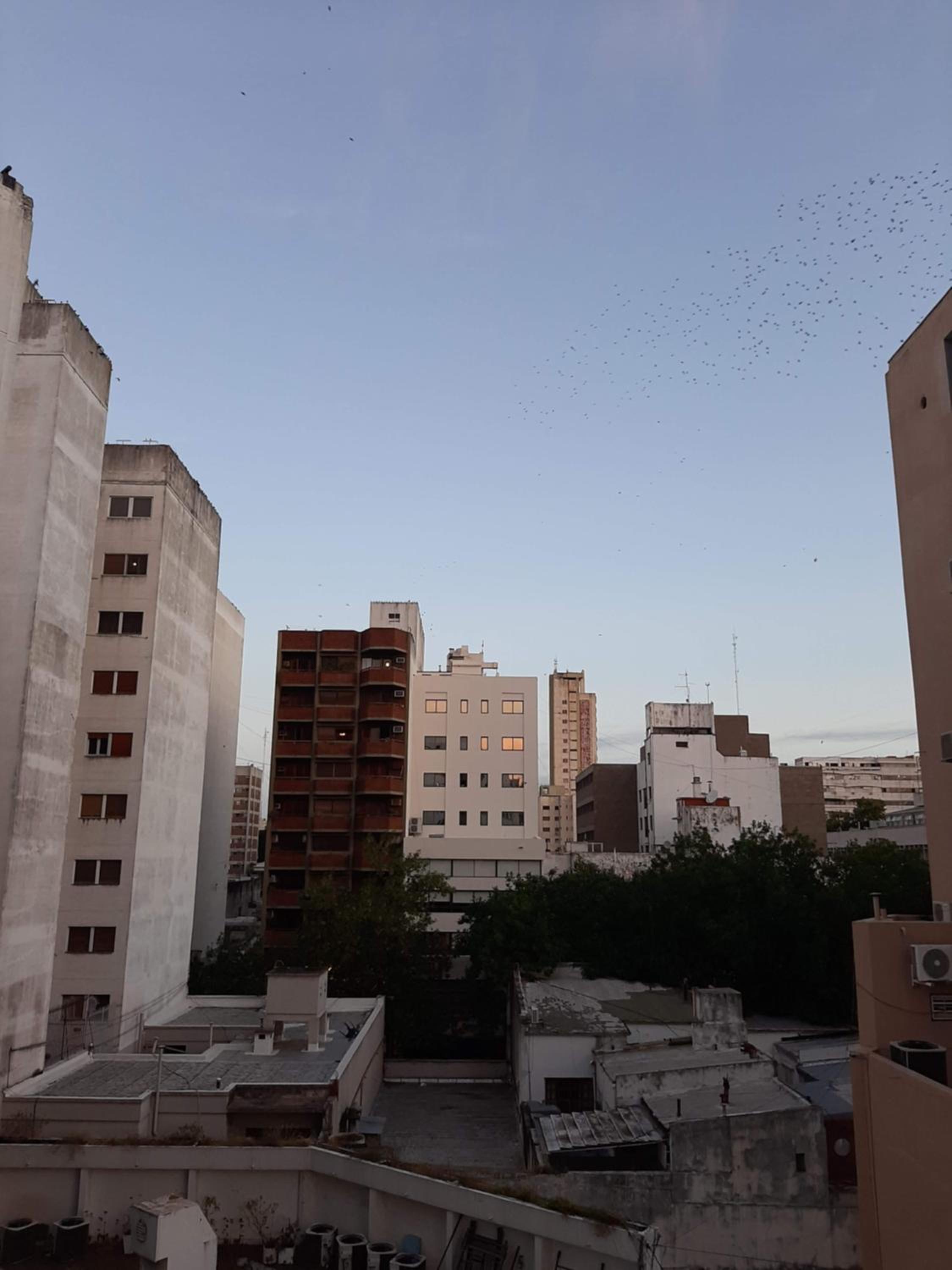 SeventySeven-La Plata. Monoambiente nuevo, cómodo, céntrico.