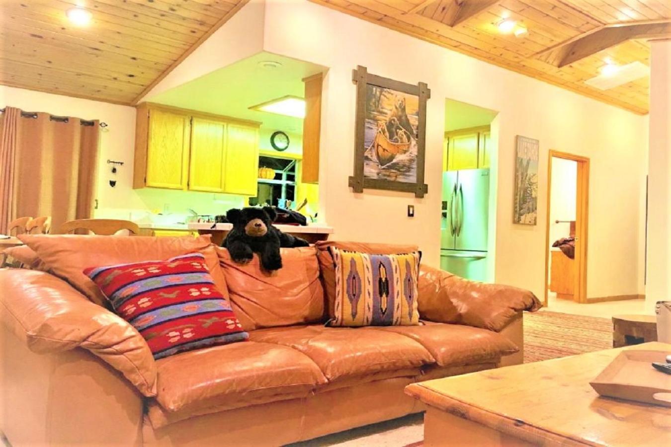 Photo 8