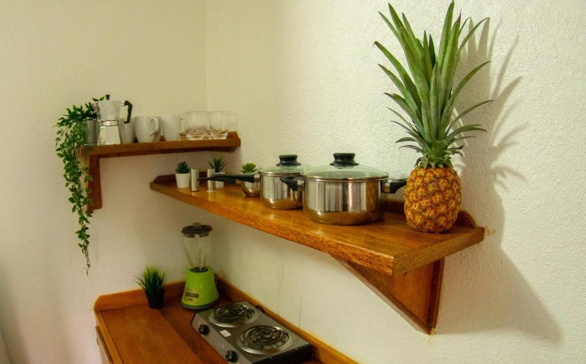 El jardín del coco, apartamento 14 - near La Playita beach — photo 4