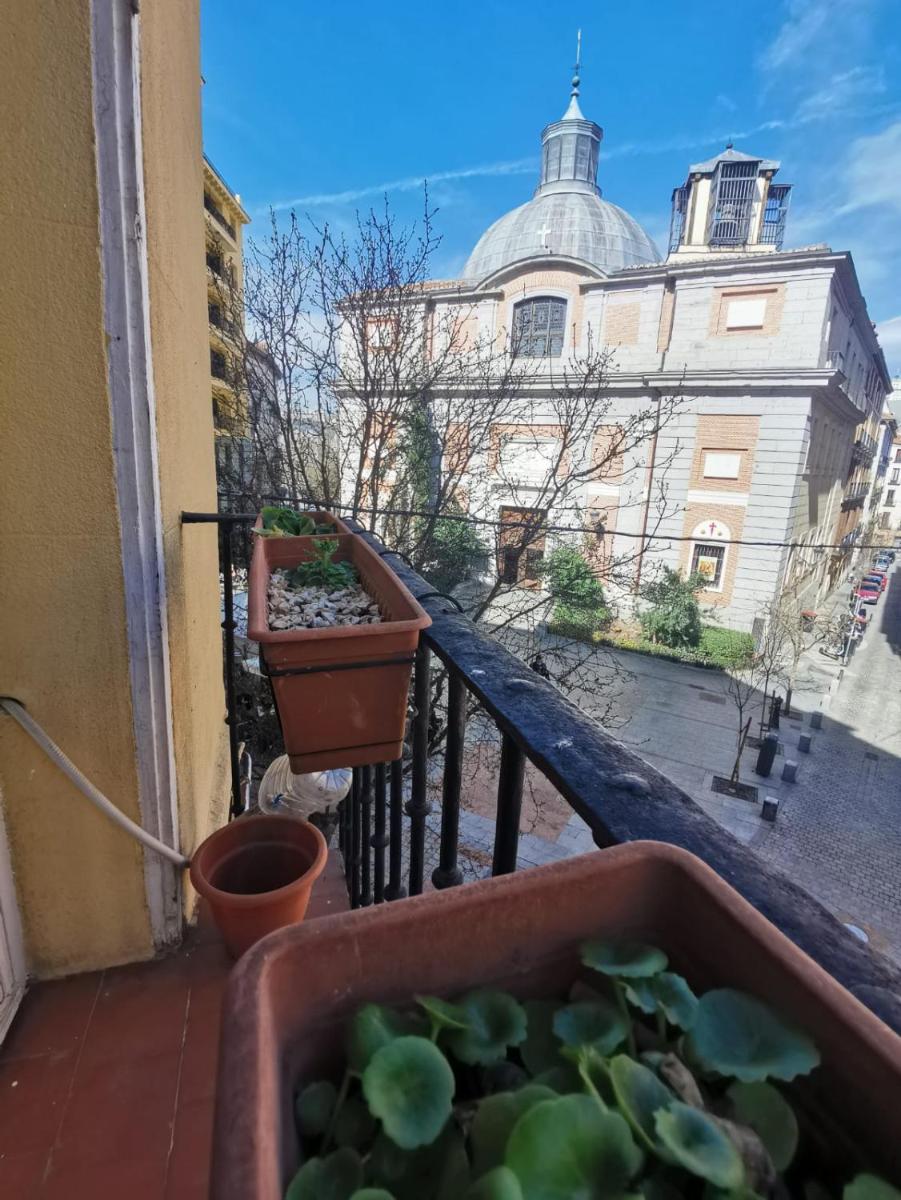 Arta view 3
