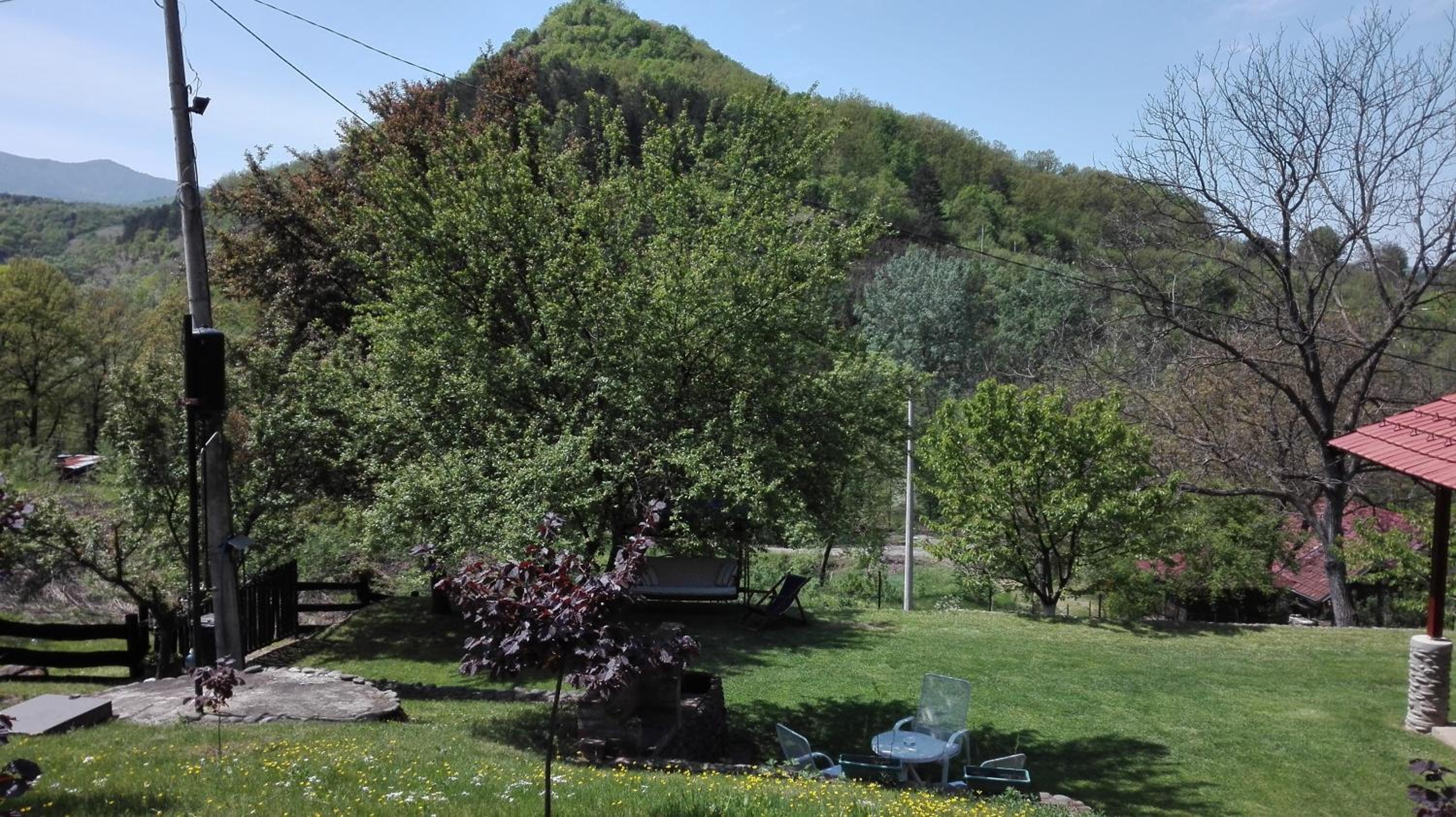 Photo 15