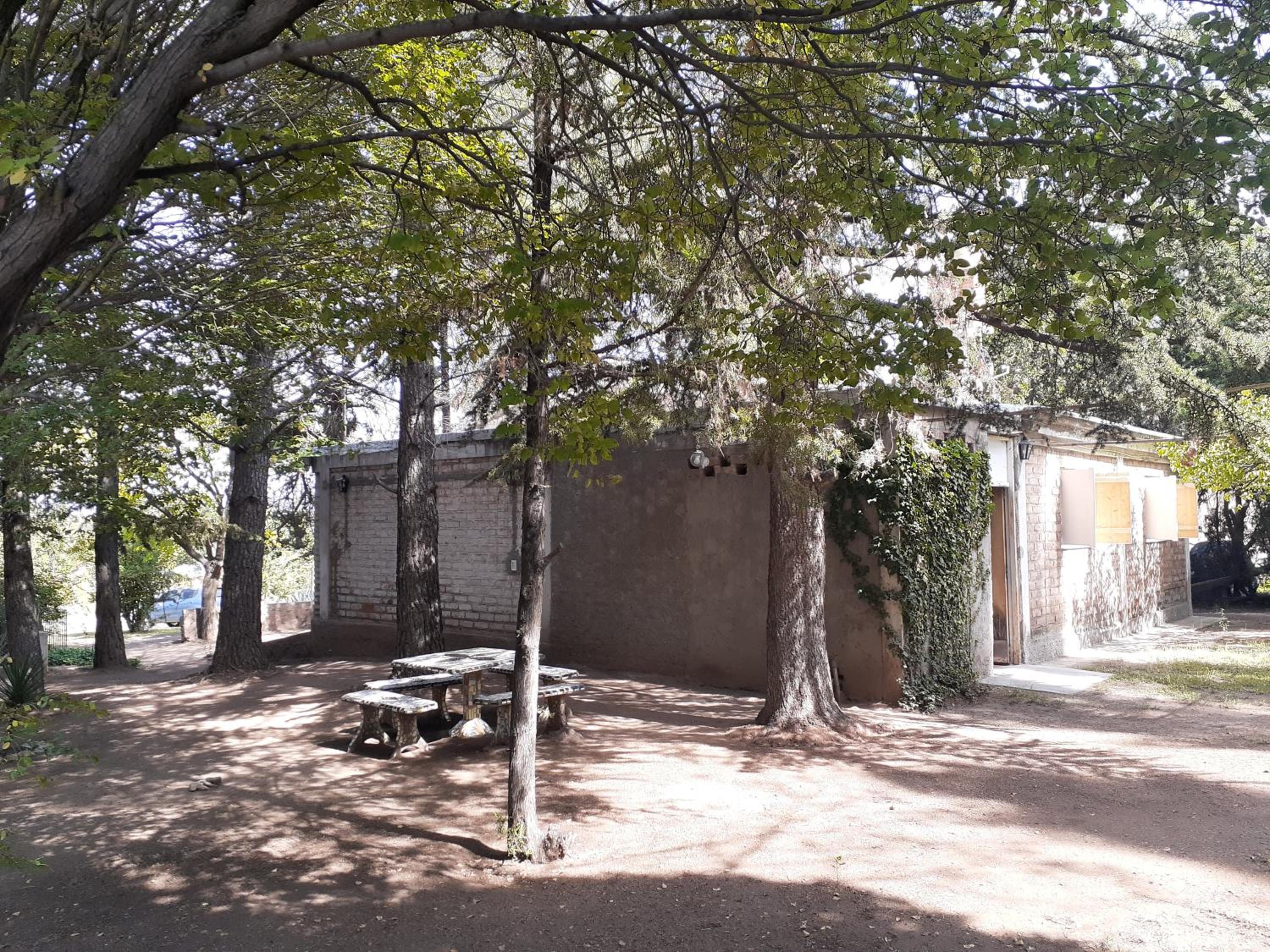 Photo 12