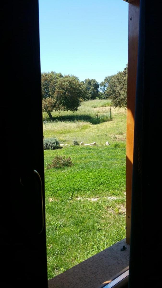 Photo 39
