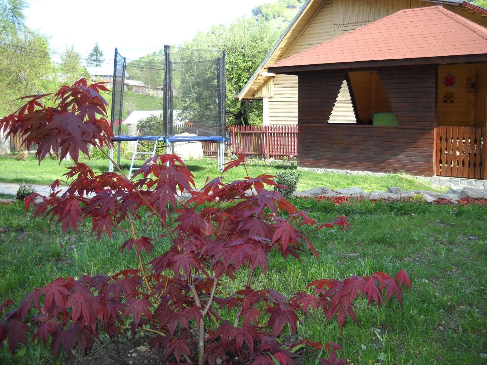 Photo 26