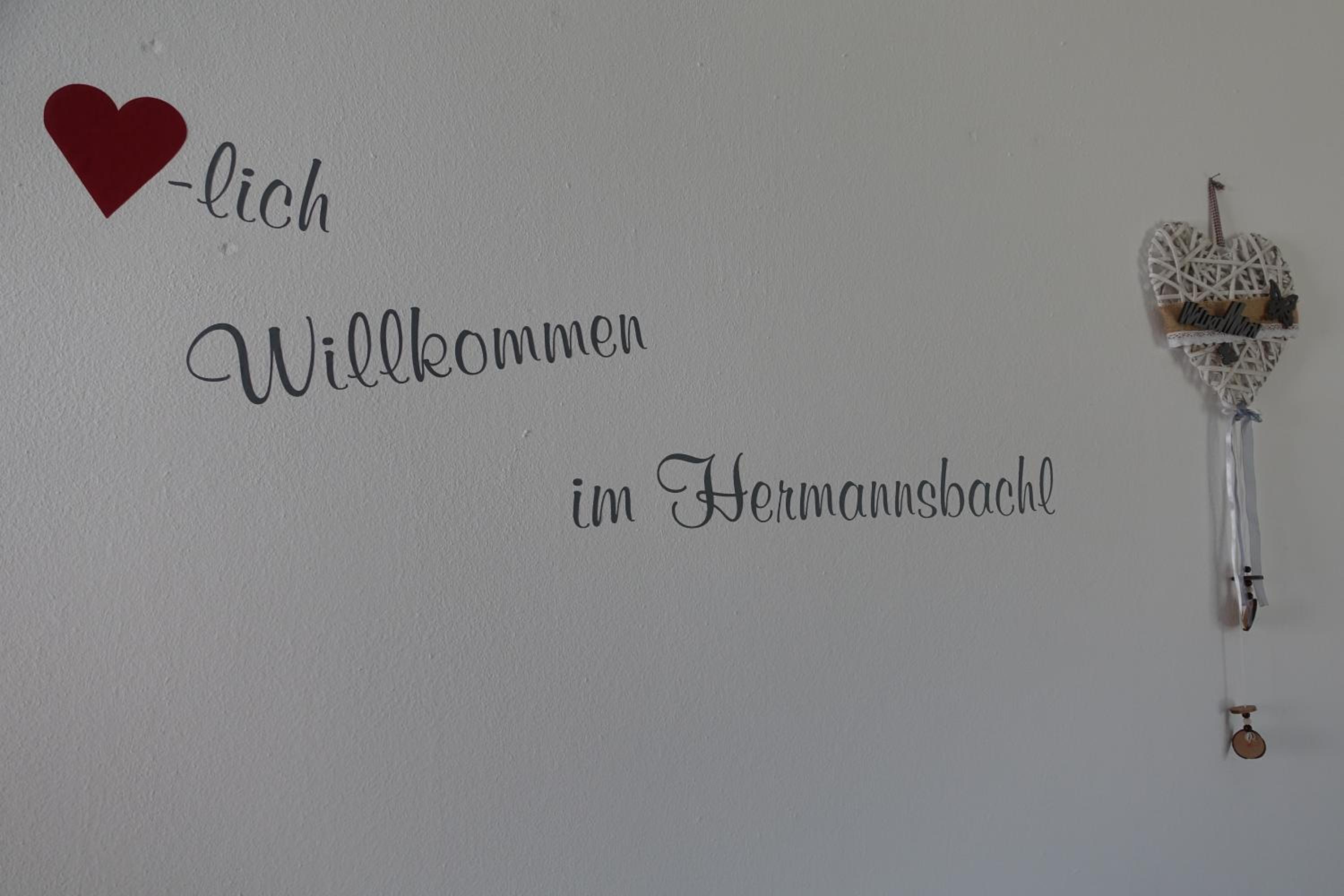 Am Hermannsbachl view 3