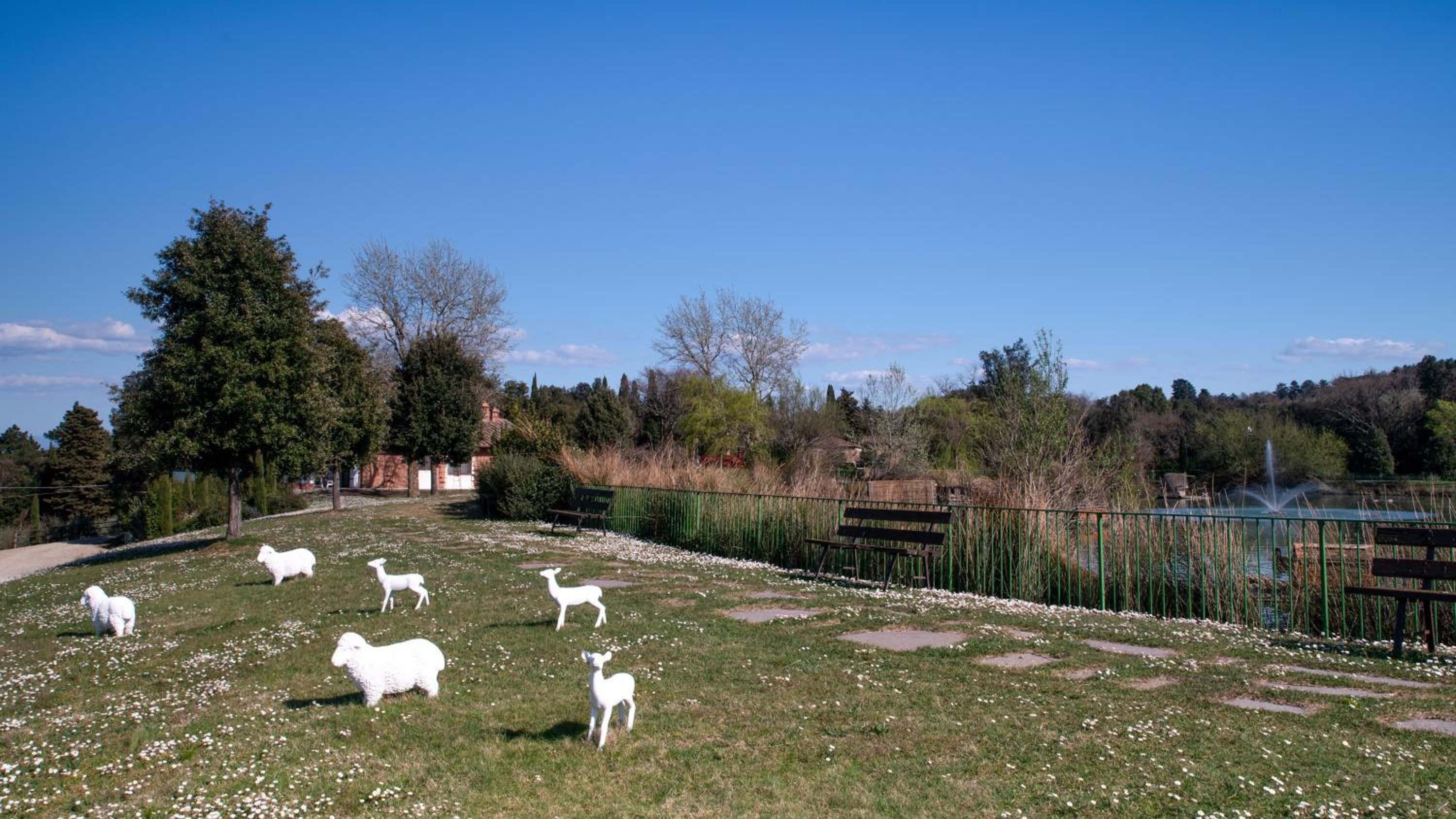 Photo 40