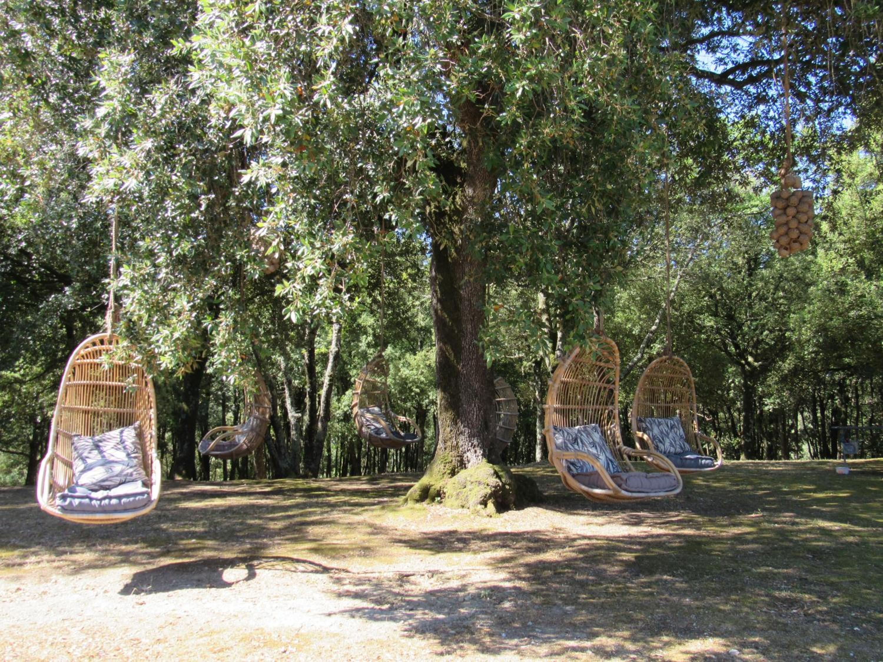 Photo 41