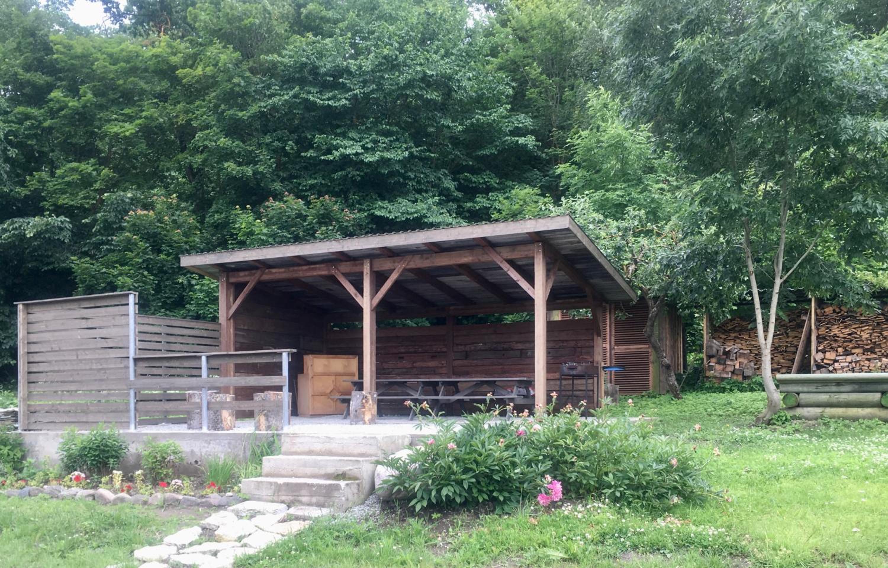 Photo 15