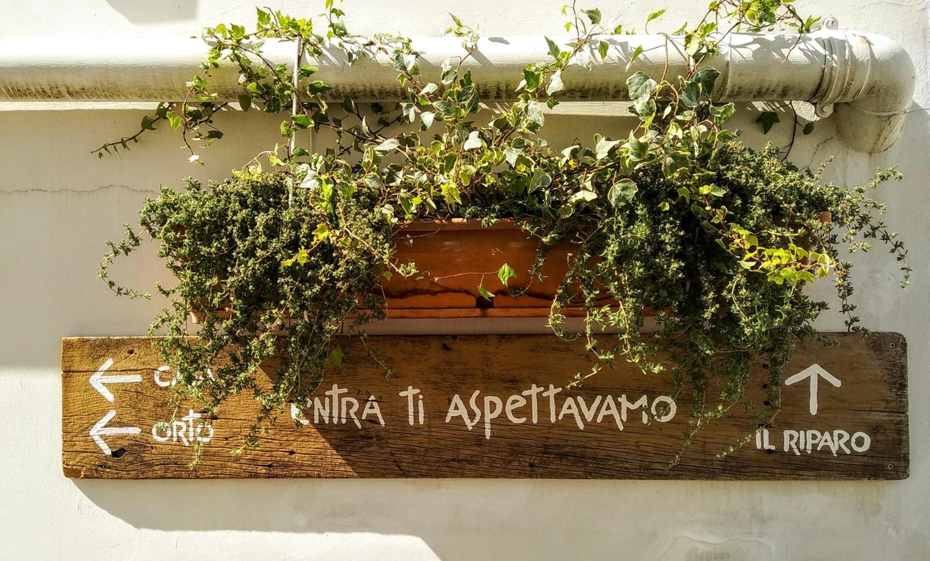 other