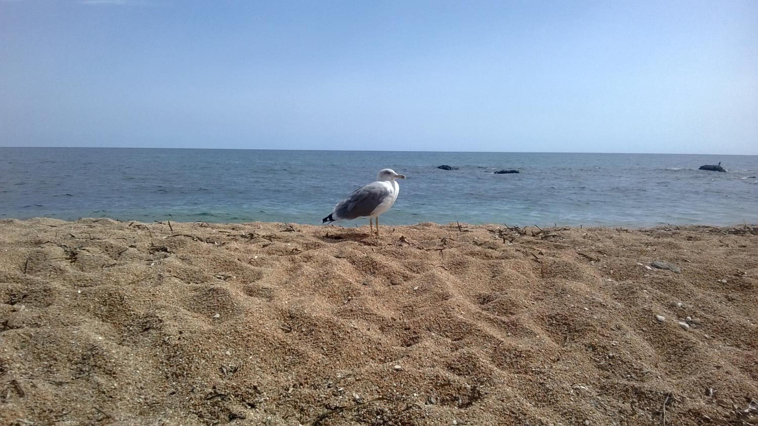 Photo 37
