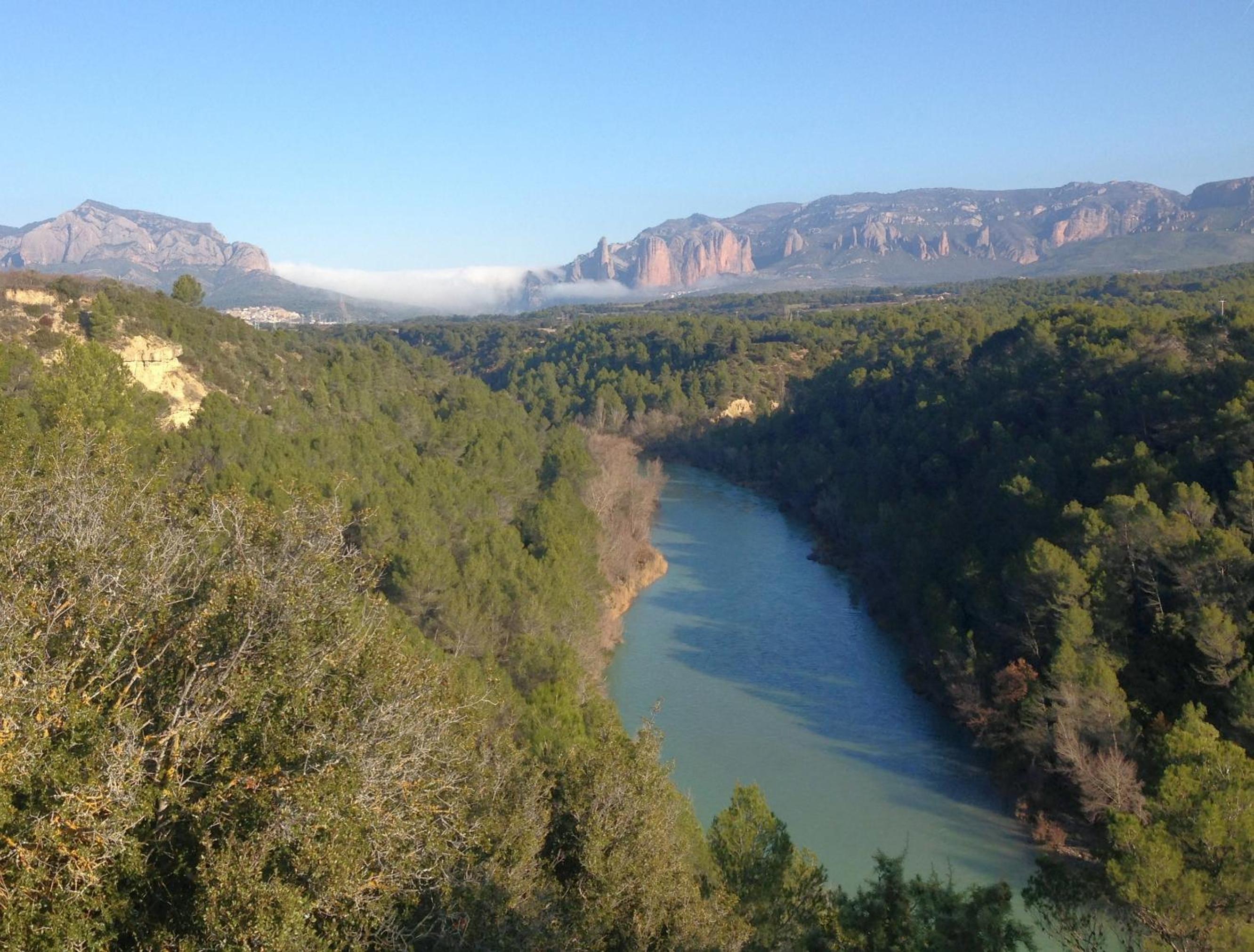 Alén D'Aragón