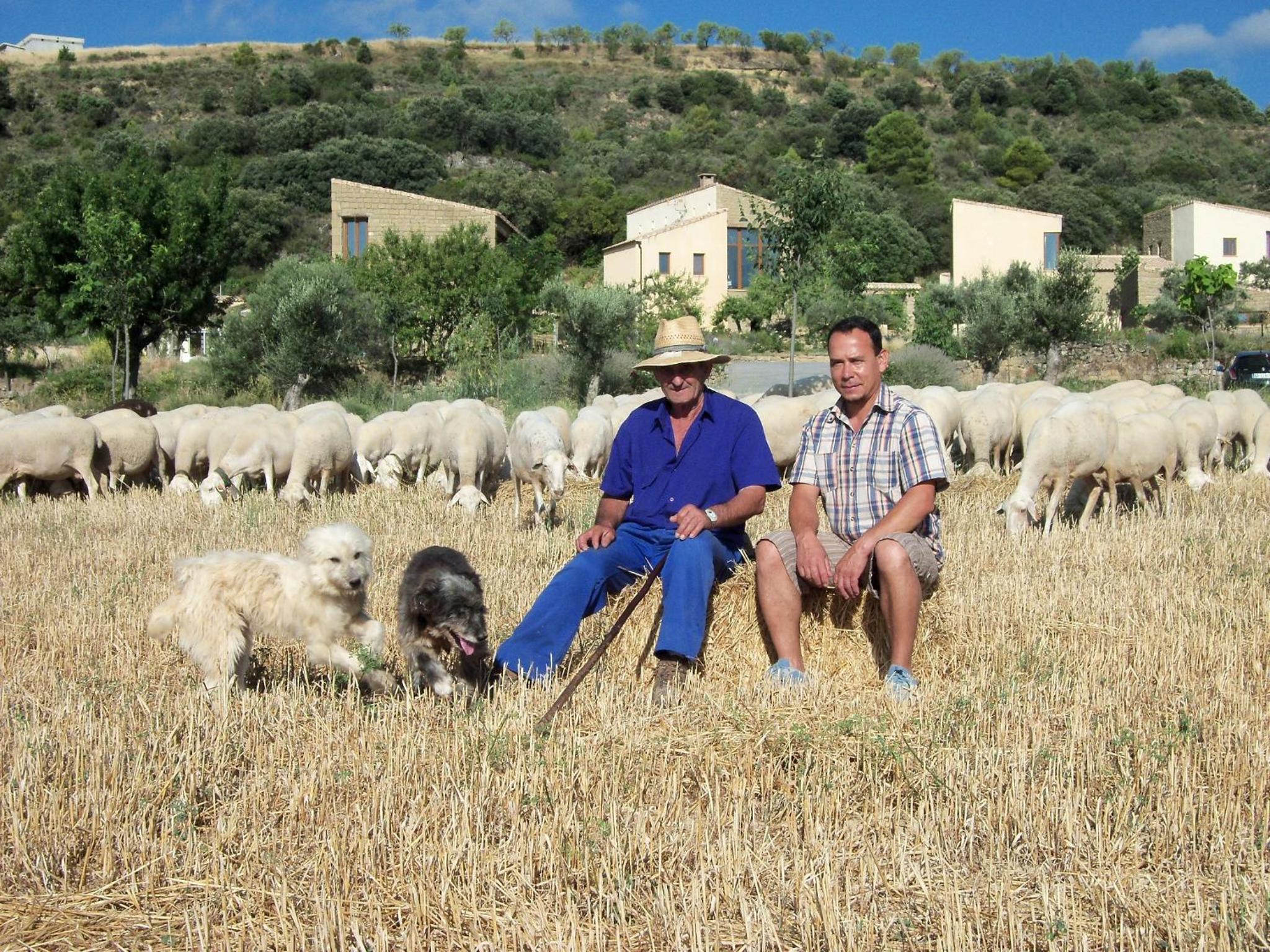 Alén D'Aragón
