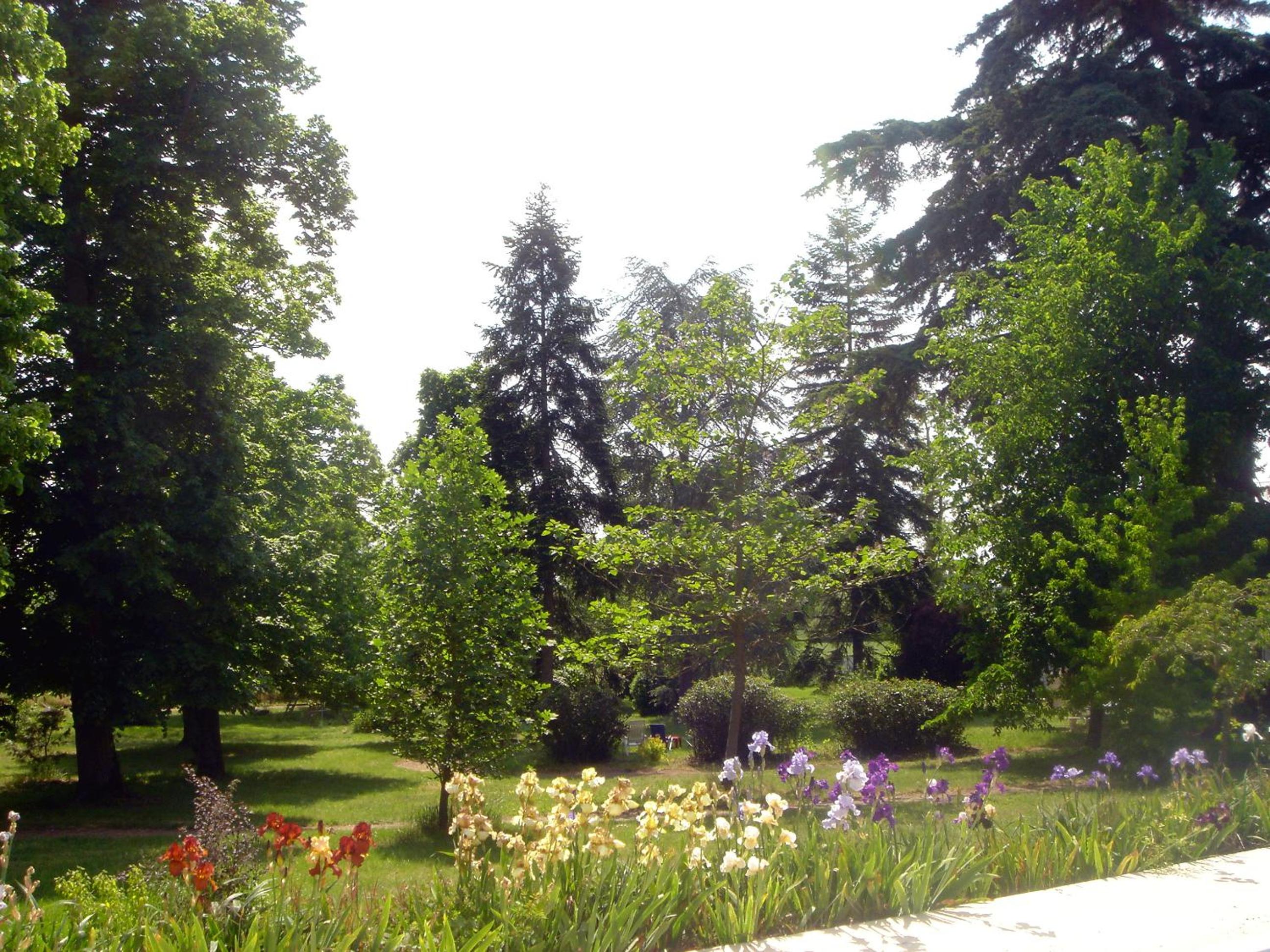 Photo 41