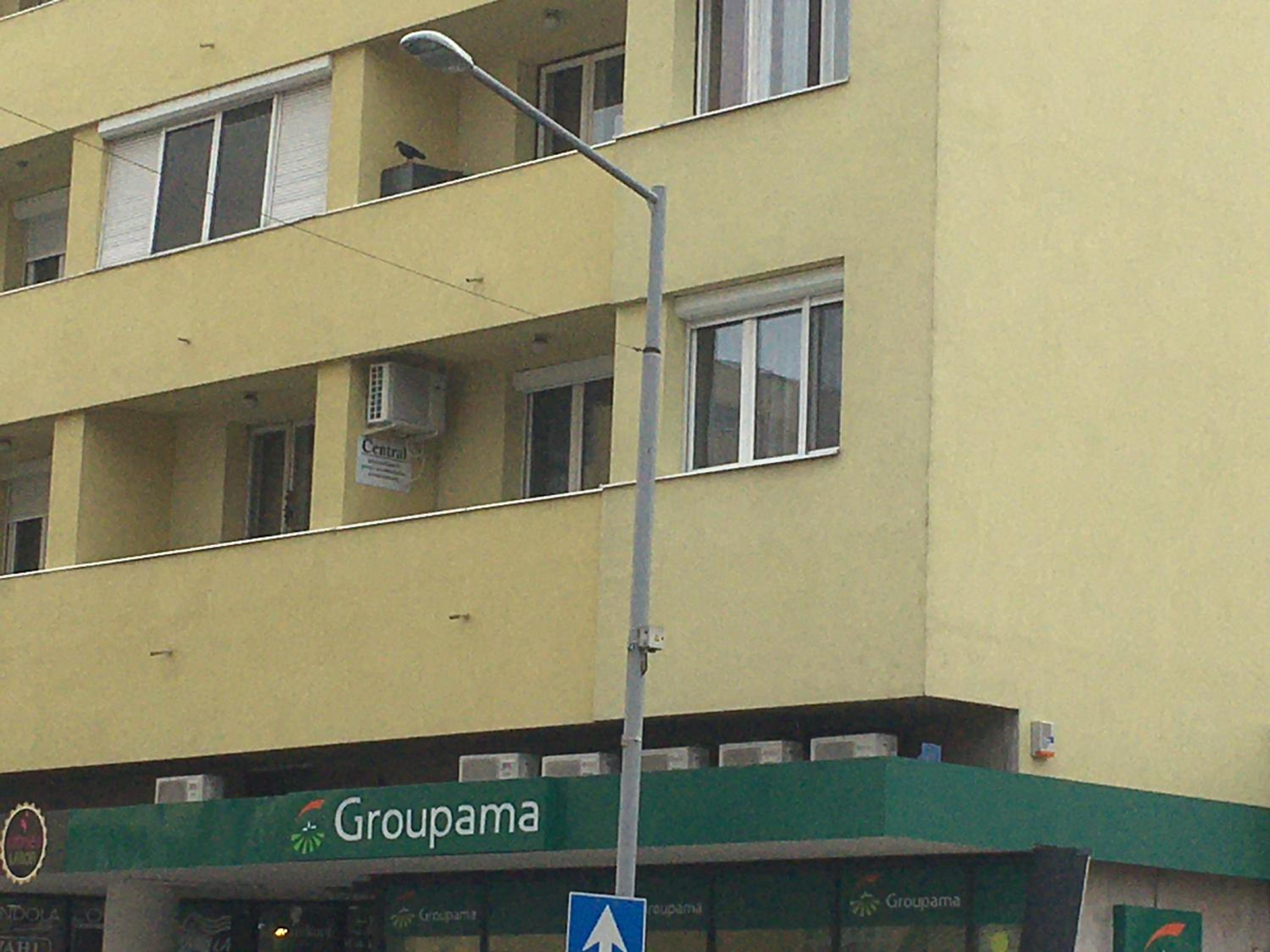 Photo 9
